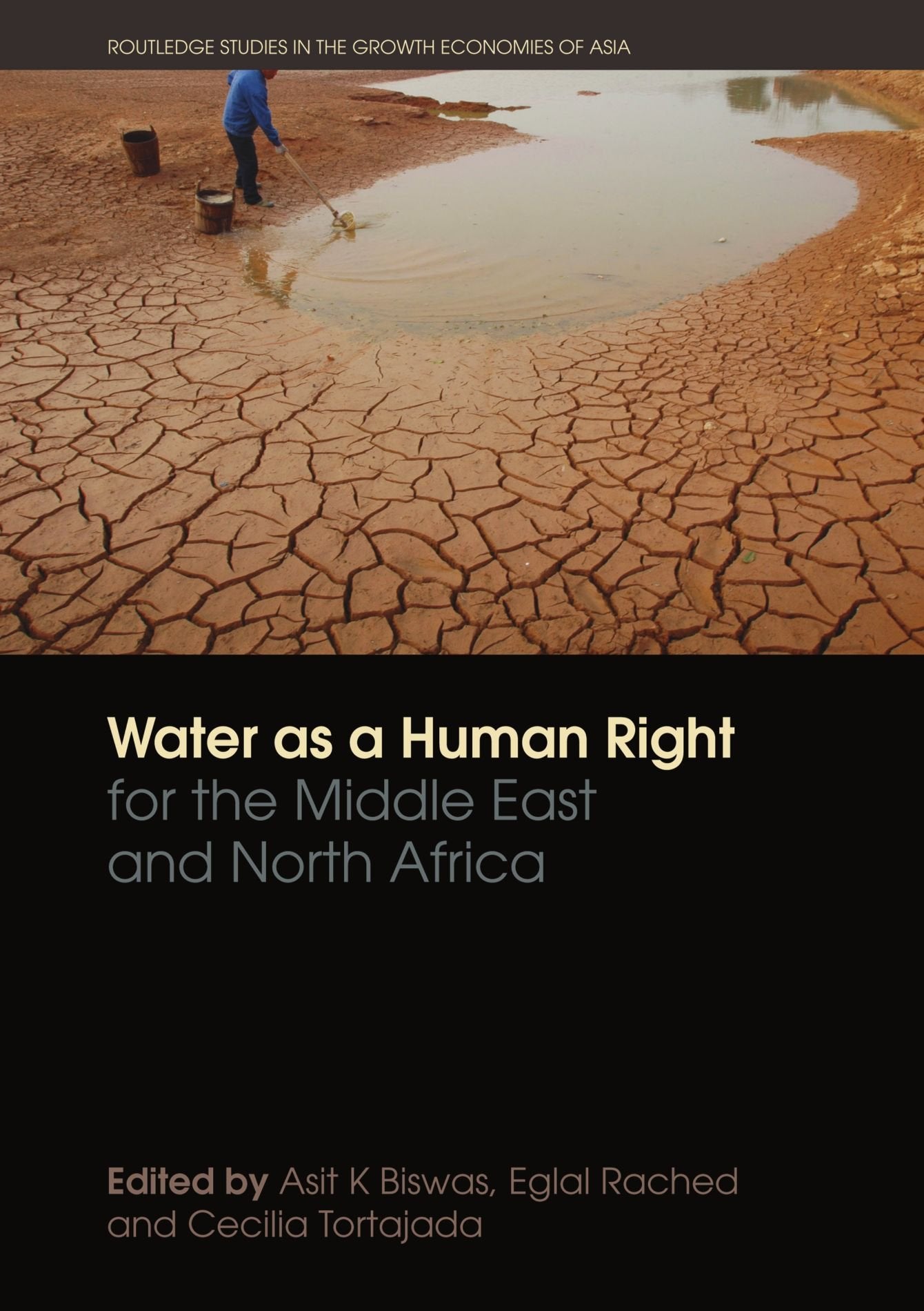 Water As A Human Right For The Middle East And North Africa (Routledge Studies In The Growth Economies Of Asia) (Routledge Speci