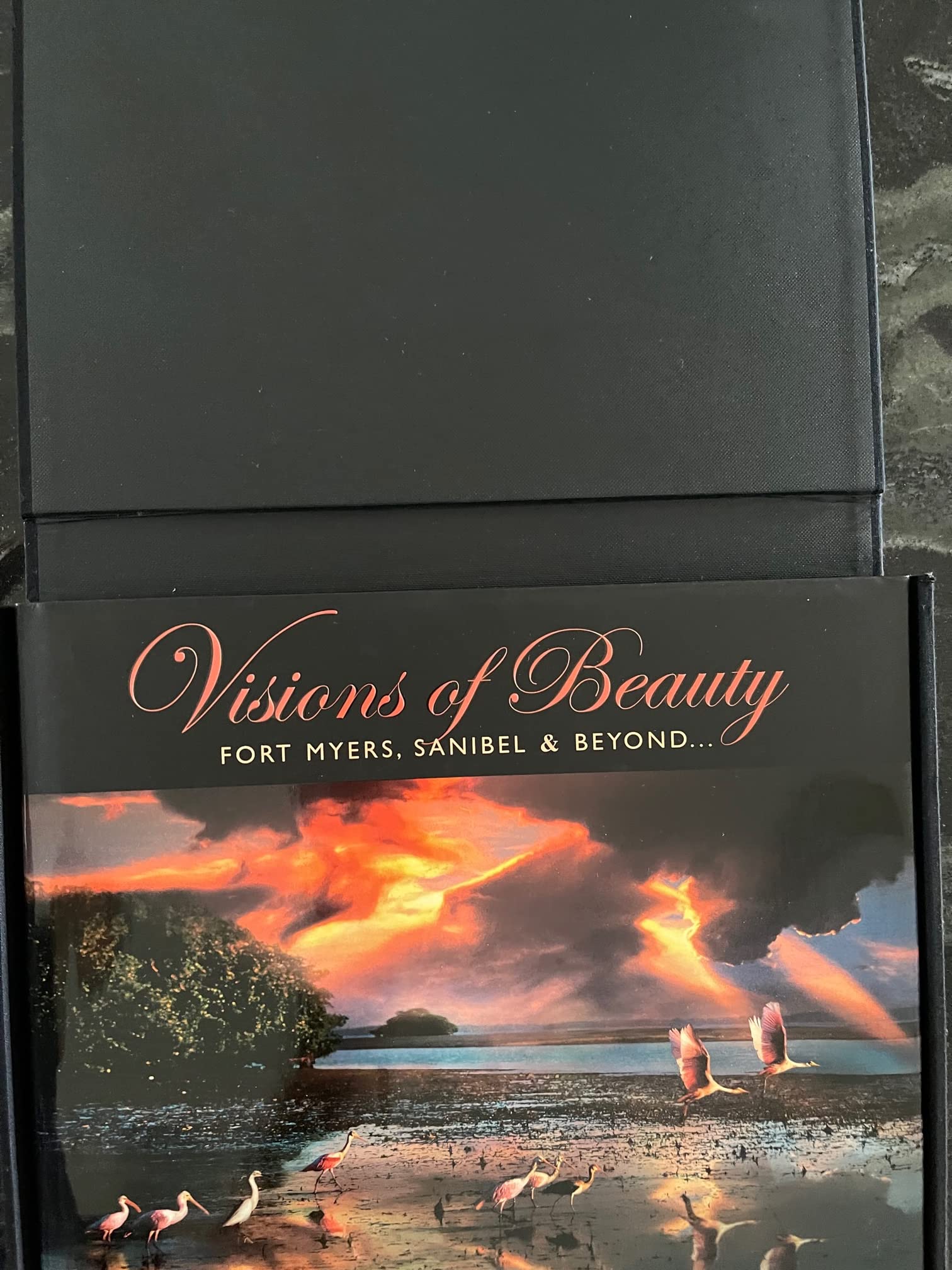 Visions of Beauty  Fort Myers, Sanibel & Beyond...