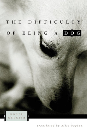 The Difficulty of Being a Dog,Used