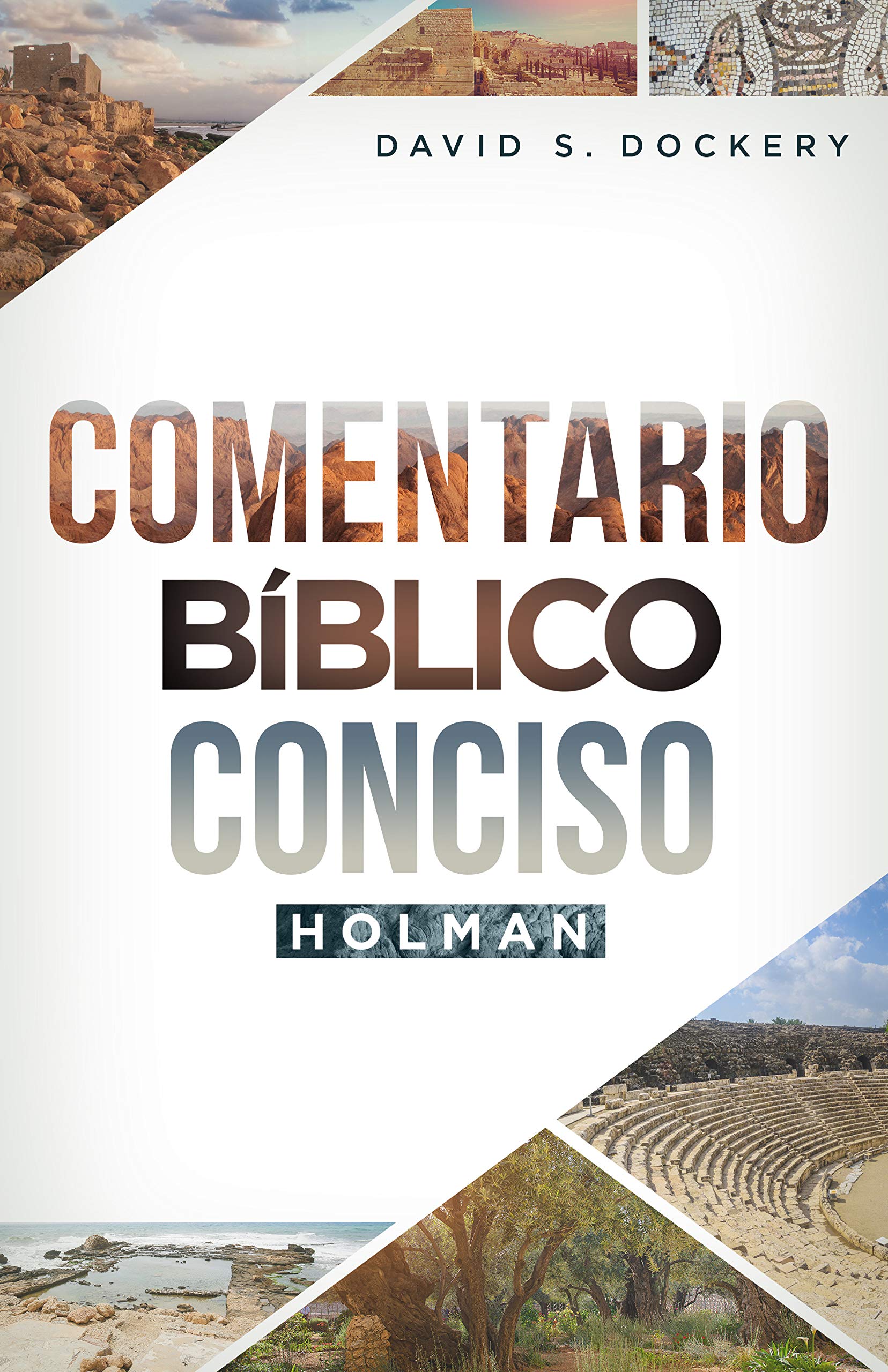 Comentario Bblico Conciso Holman  Holman Concise Bible Commentary (Spanish Edition)