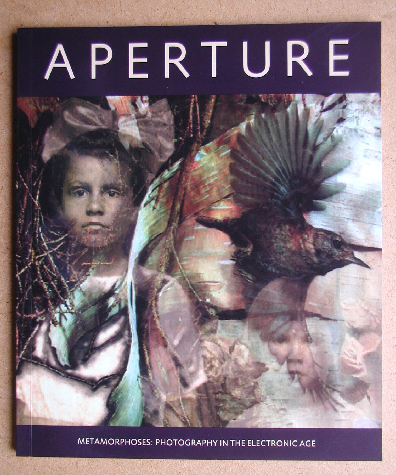 Metamorphoses: Photography in the Electronic Age: Aperture 136 (Aperture Magazine S),Used