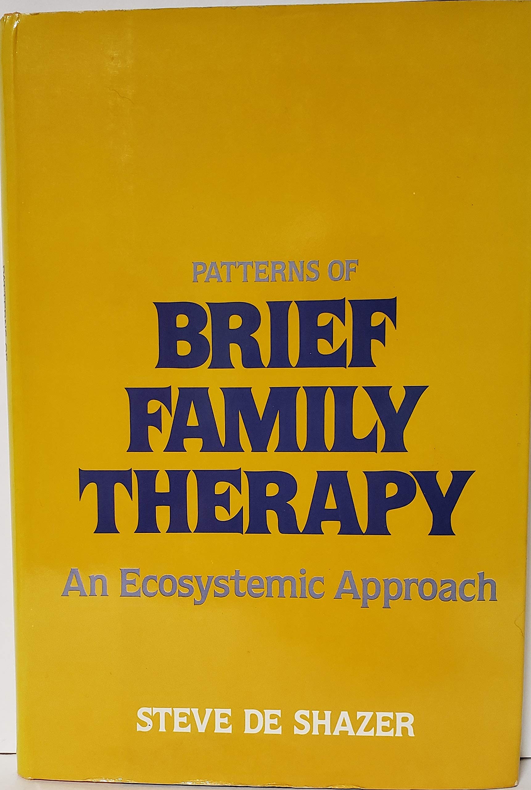 Patterns of Brief Family Therapy: An Ecosystemic Approach,New