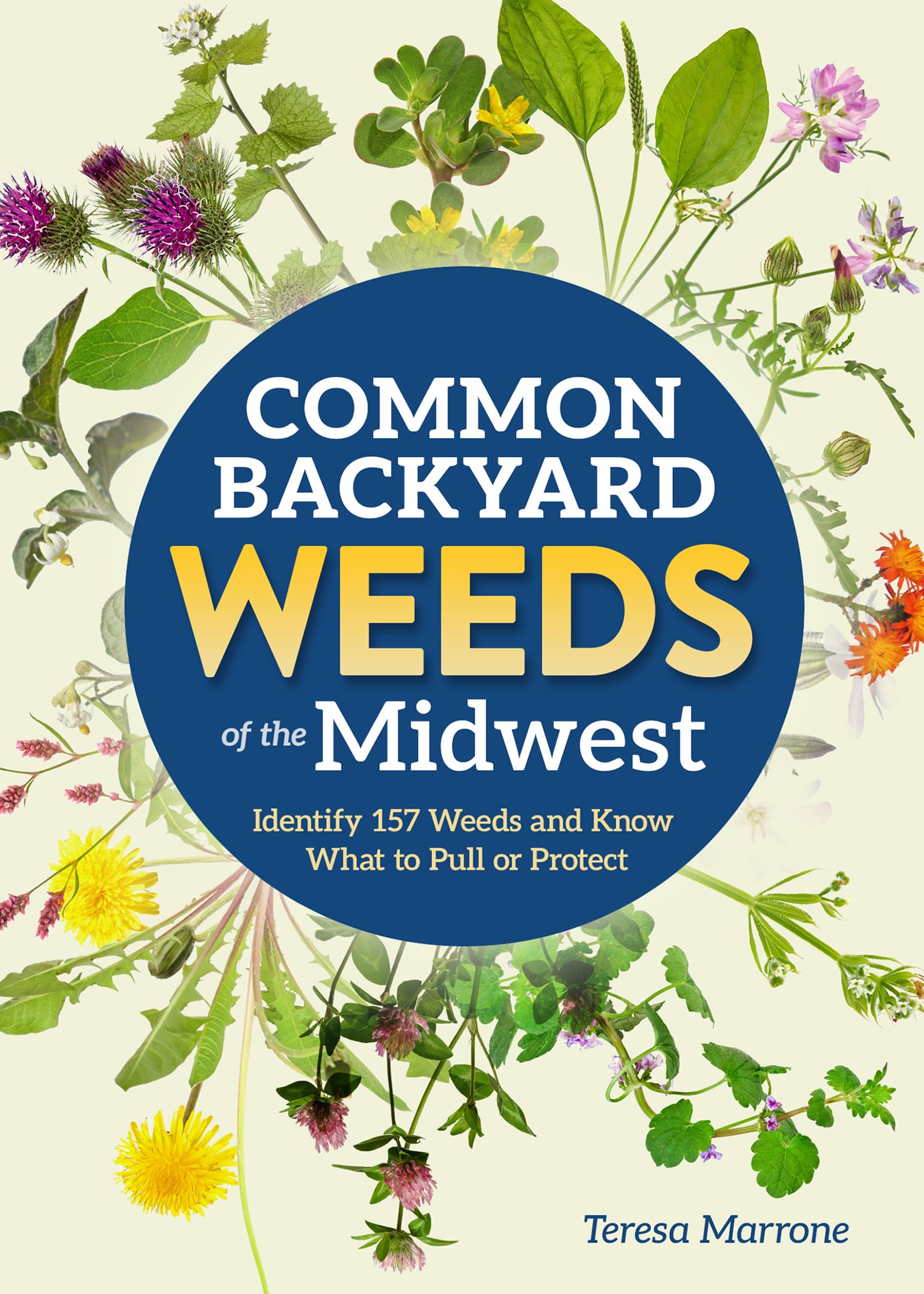 Common Backyard Weeds Of The Midwest: Identify 157 Weeds And Know What To Pull Or Protect (Backyard Weed Guides)