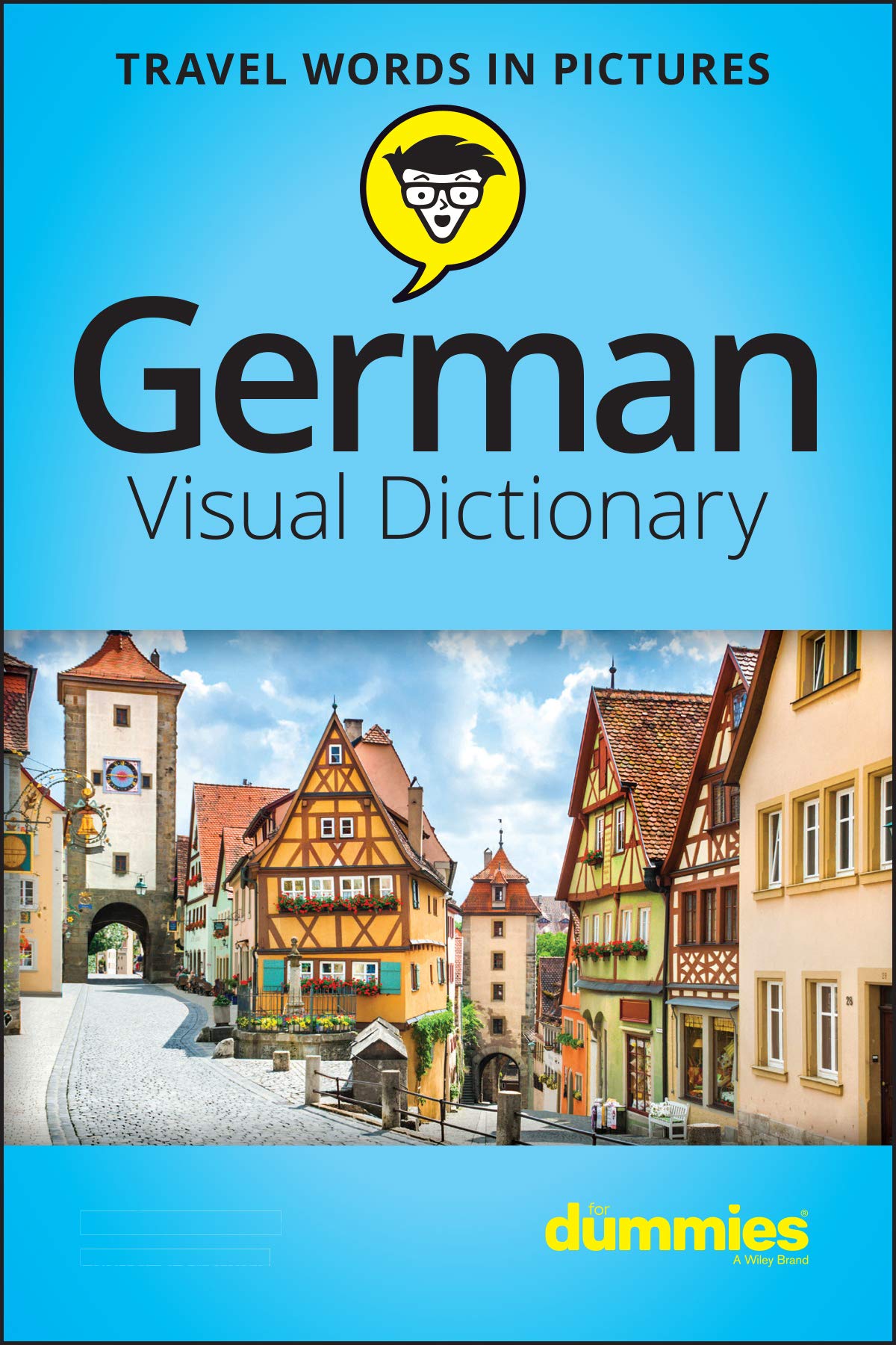 German Visual Dictionary for Dummies (English and German Edition),Used
