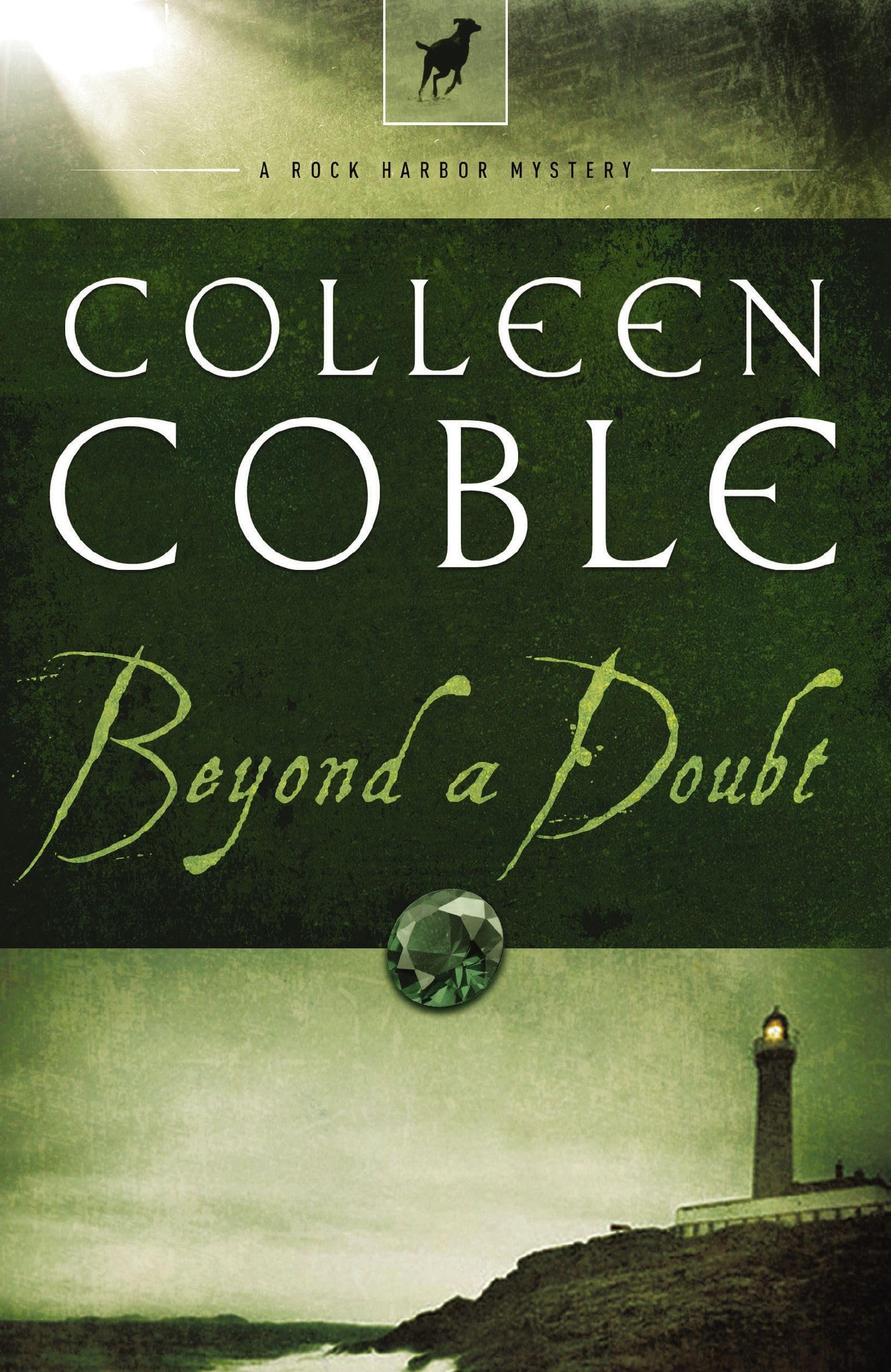 Beyond a Doubt (Rock Harbor, Book 2),Used