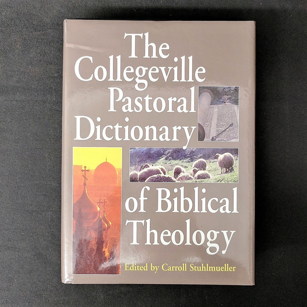 The Collegeville Pastoral Dictionary of Biblical Theology,Used