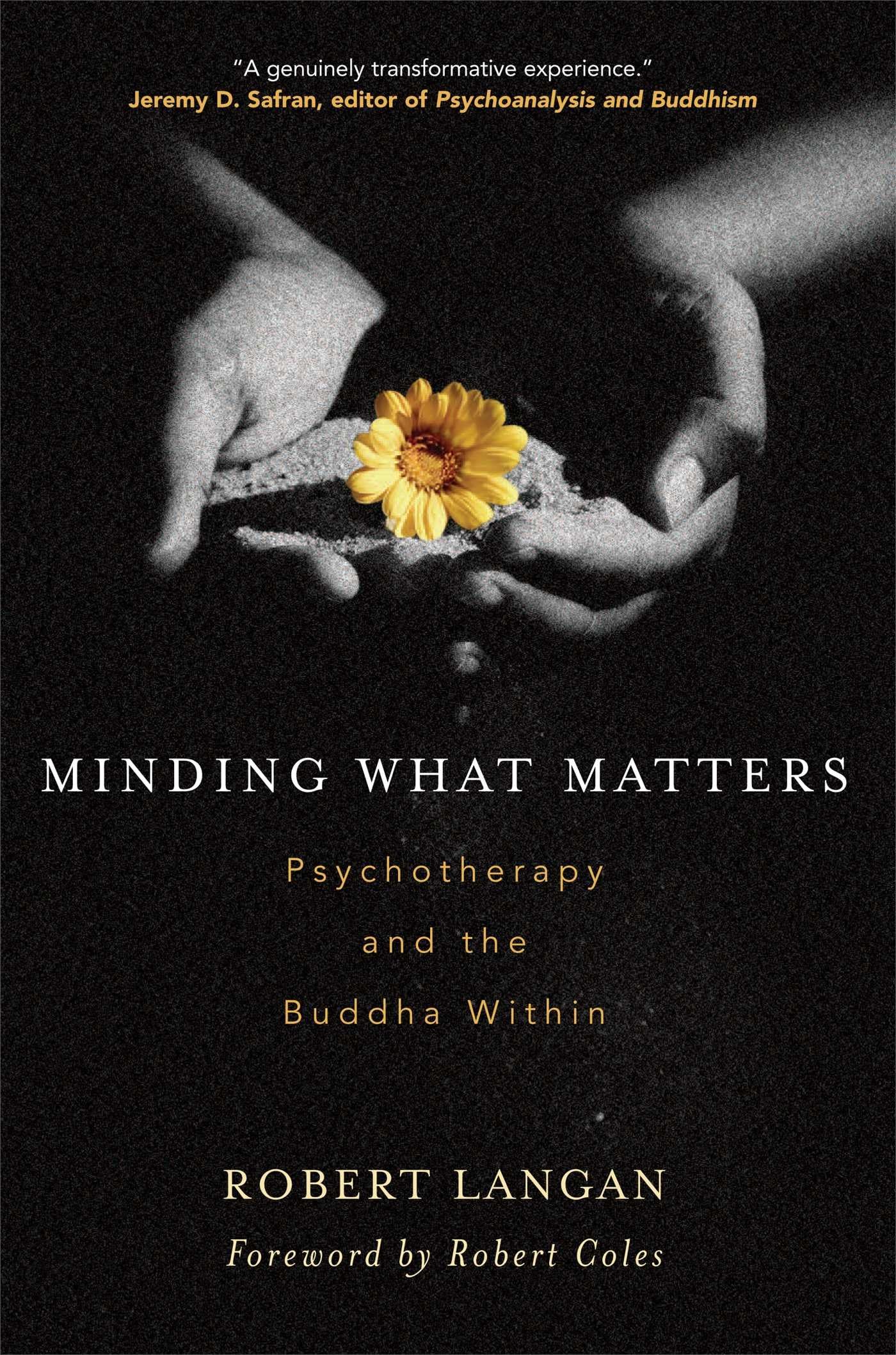 Minding What Matters: Psychotherapy And The Buddha Within,New
