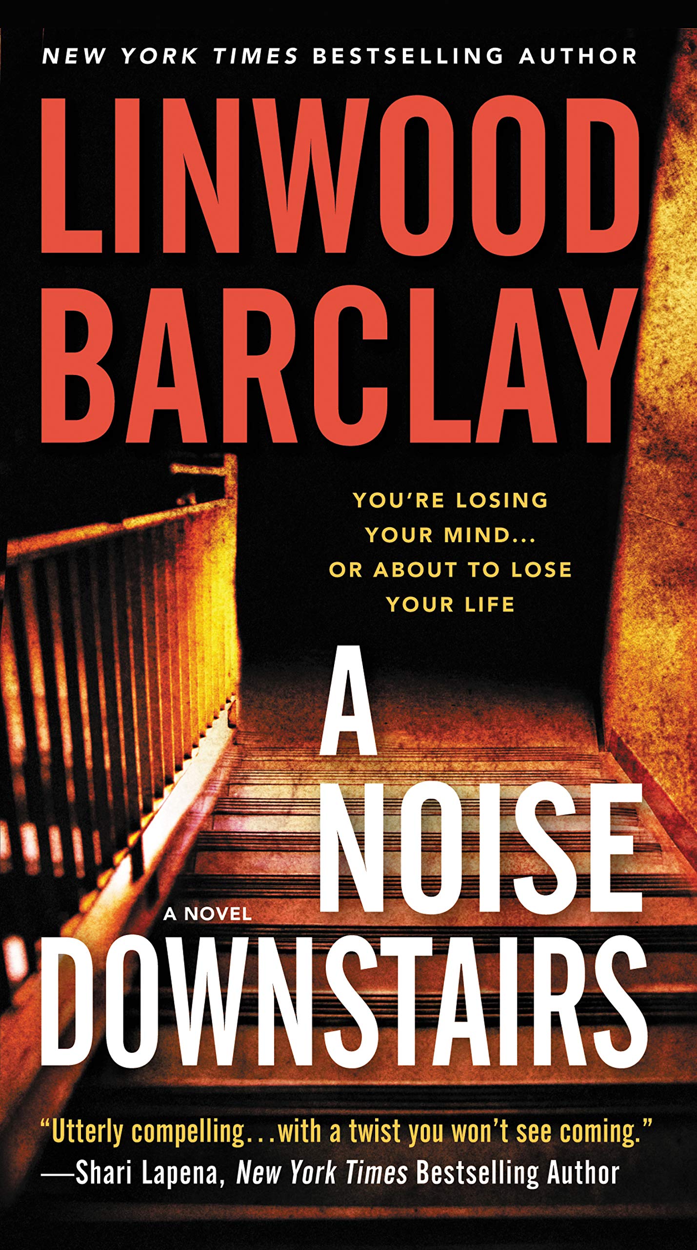 A Noise Downstairs: A Novel,Used