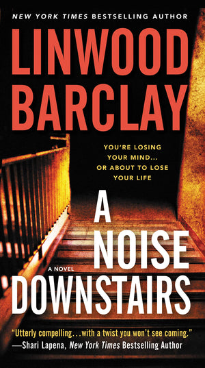A Noise Downstairs: A Novel,Used