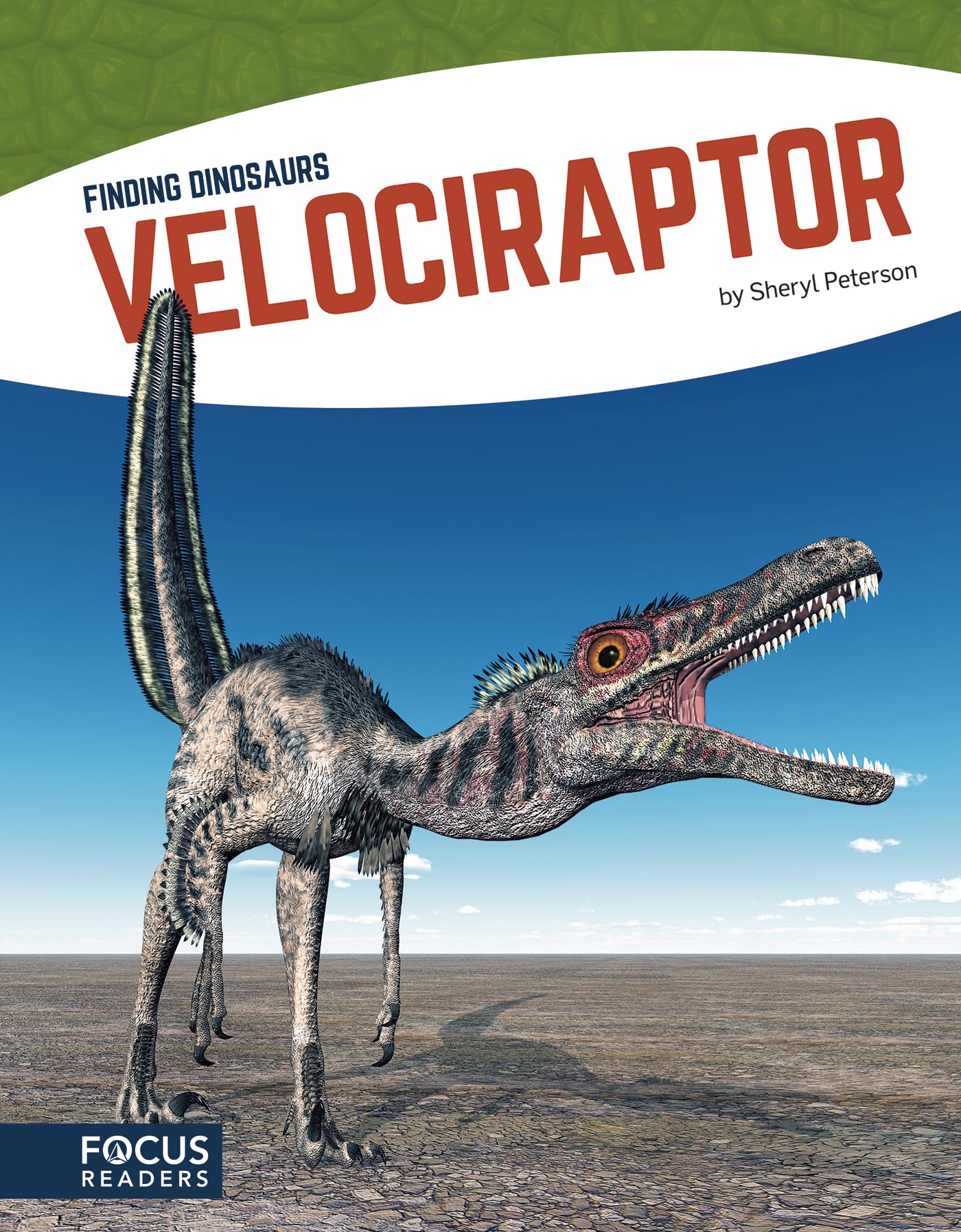 Velociraptor (Finding Dinosaurs (Paperback Set of 8)),Used