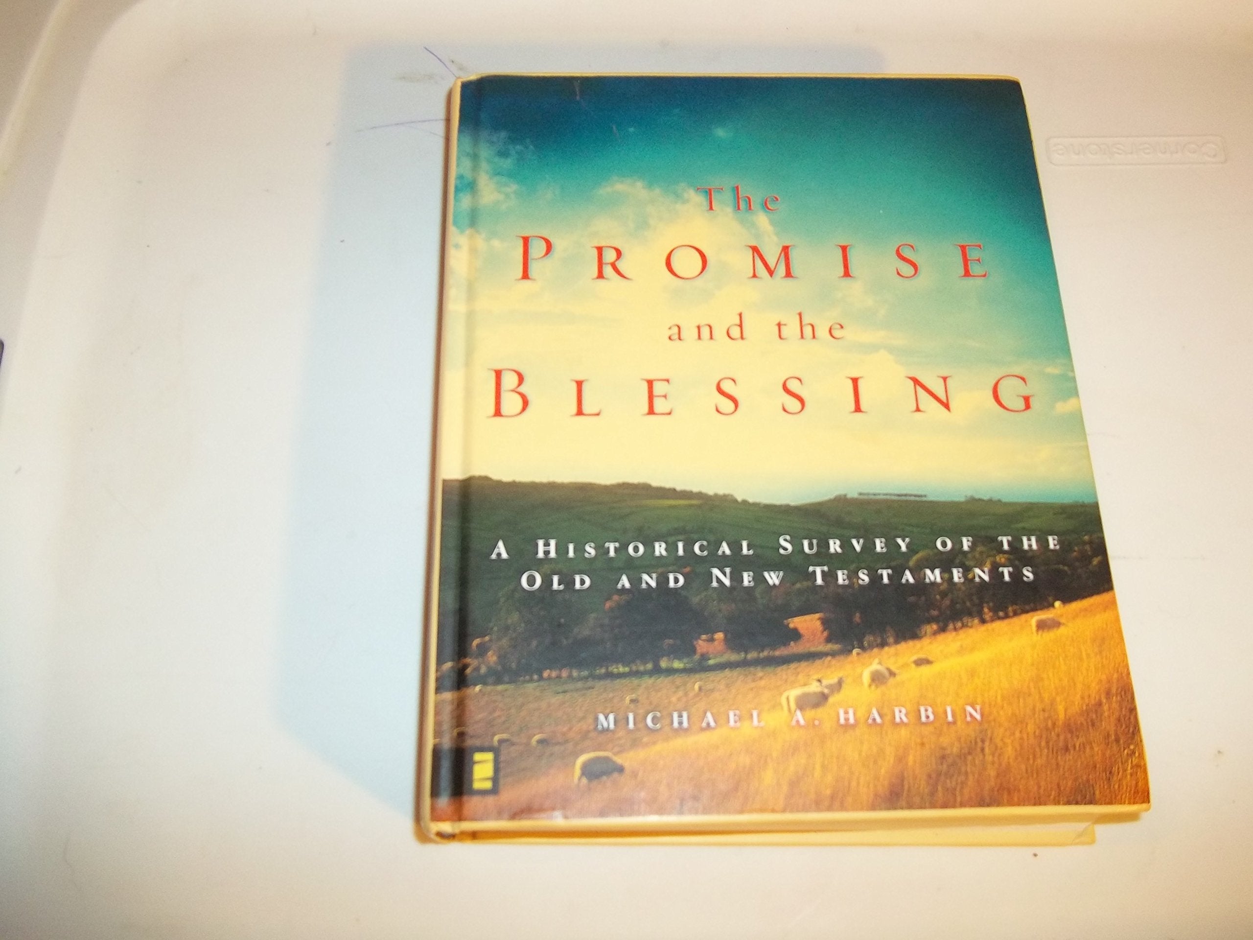 The Promise And The Blessing: A Historical Survey Of The Old And New Testaments,New
