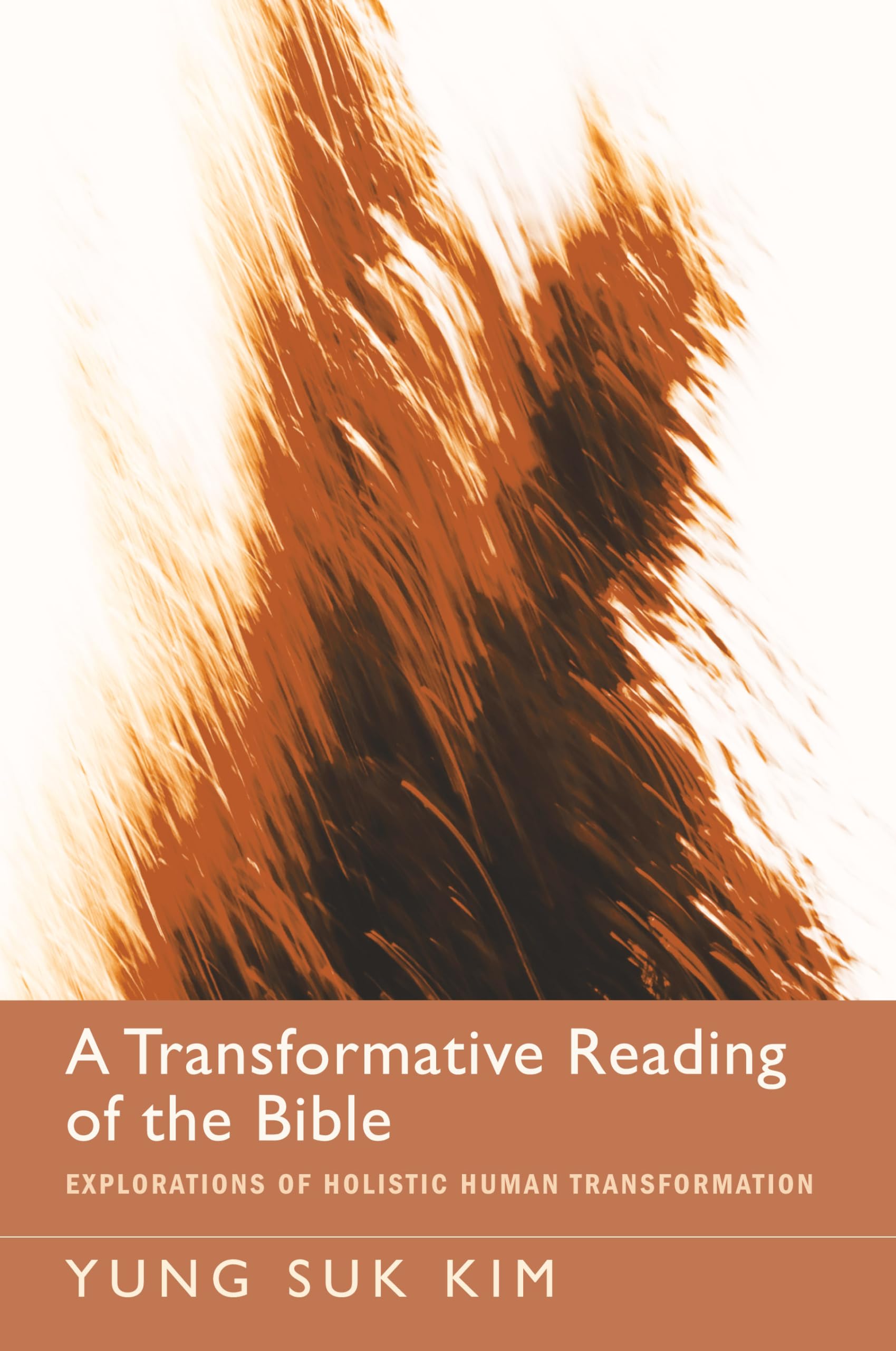 A Transformative Reading of the Bible,Used