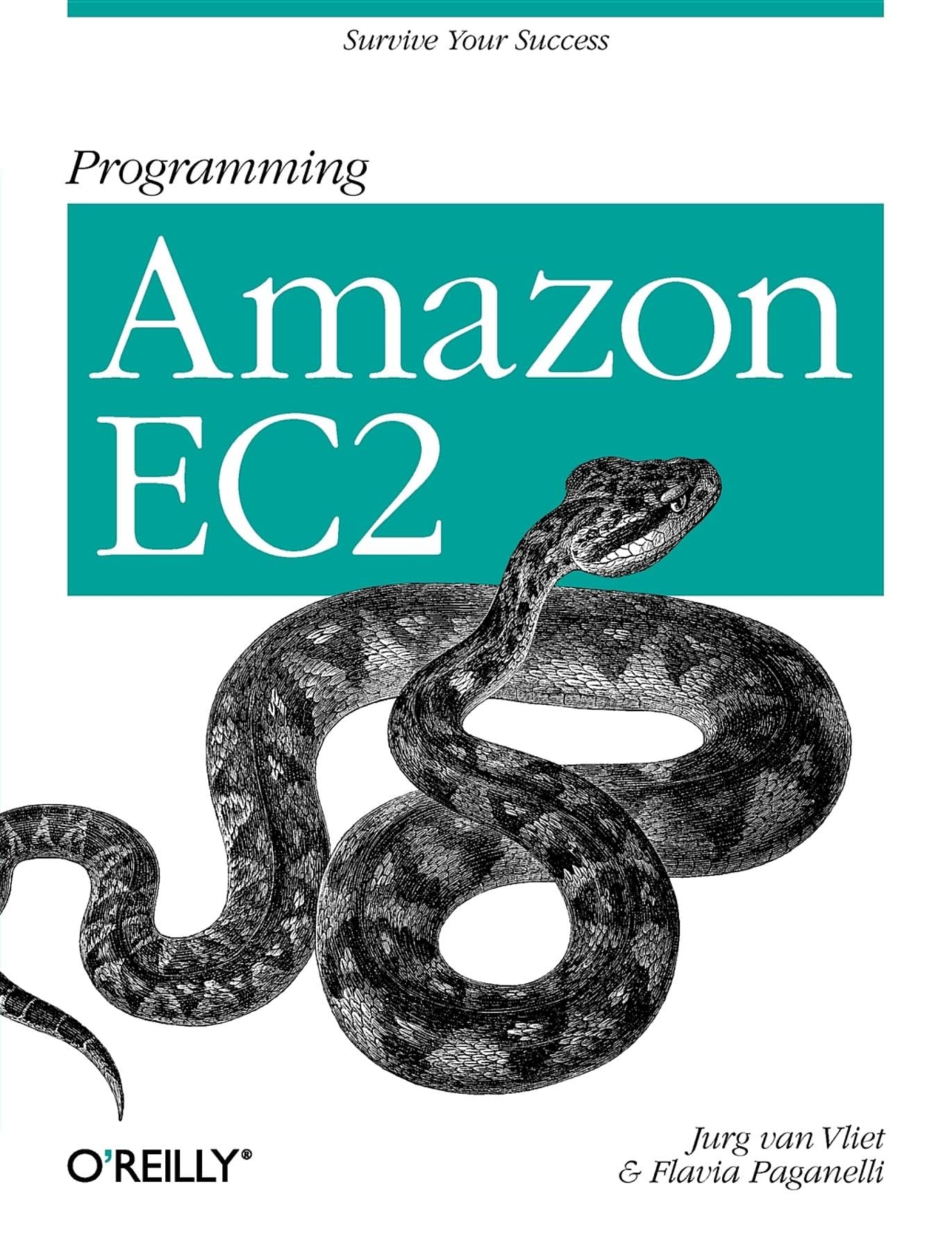 Programming Amazon EC2: Survive your Success,Used