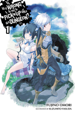 Is It Wrong to Try to Pick Up Girls in a Dungeon?, Vol. 1  light novel,Used
