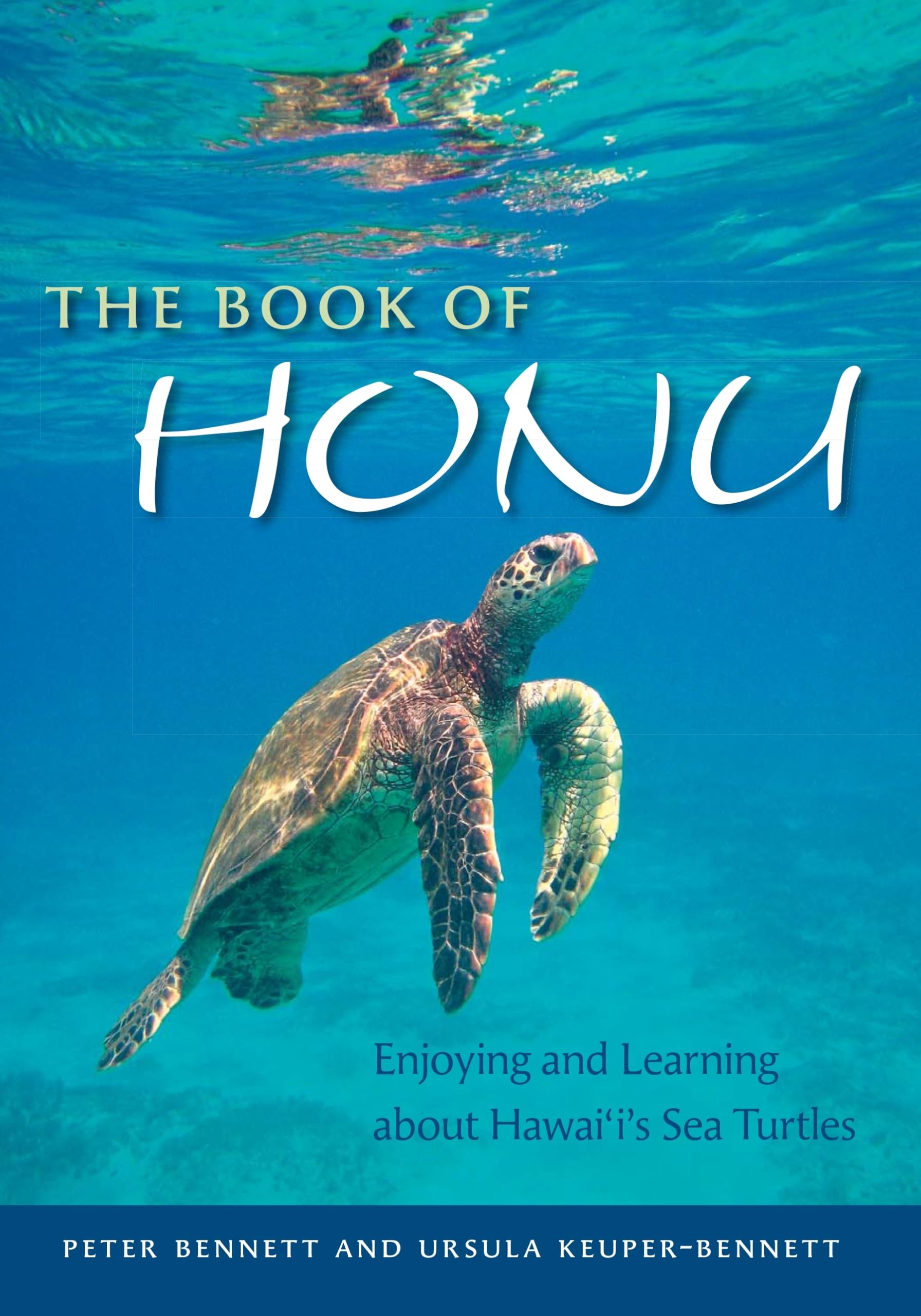 The Book of Honu: Enjoying and Learning About Hawaii's Sea Turtles (Latitude 20 Books (Paperback)),Used