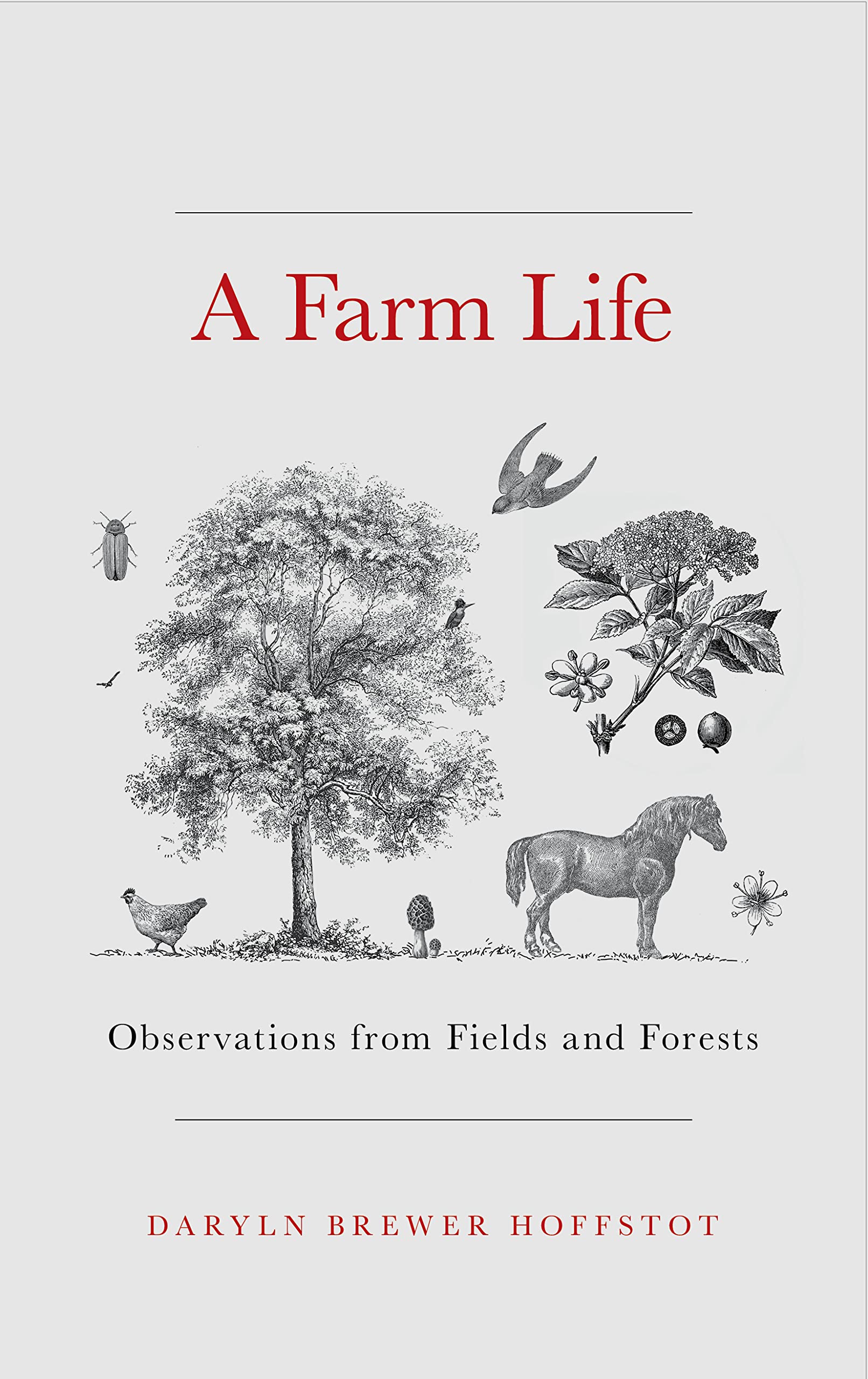 A Farm Life: Observations From Fields And Forests,Used