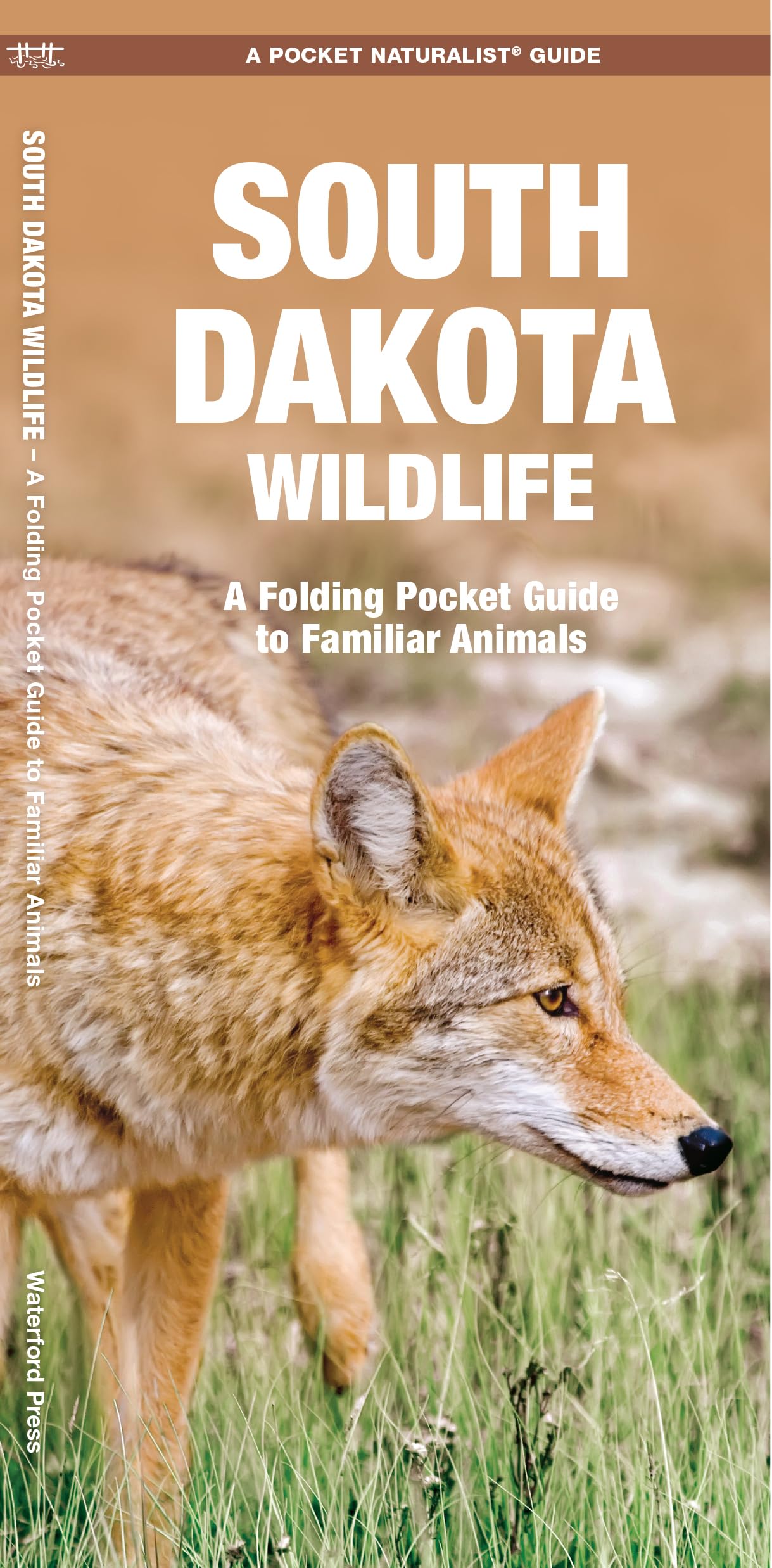 South Dakota Wildlife: A Folding Pocket Guide to Familiar Animals (Wildlife and Nature Identification),Used