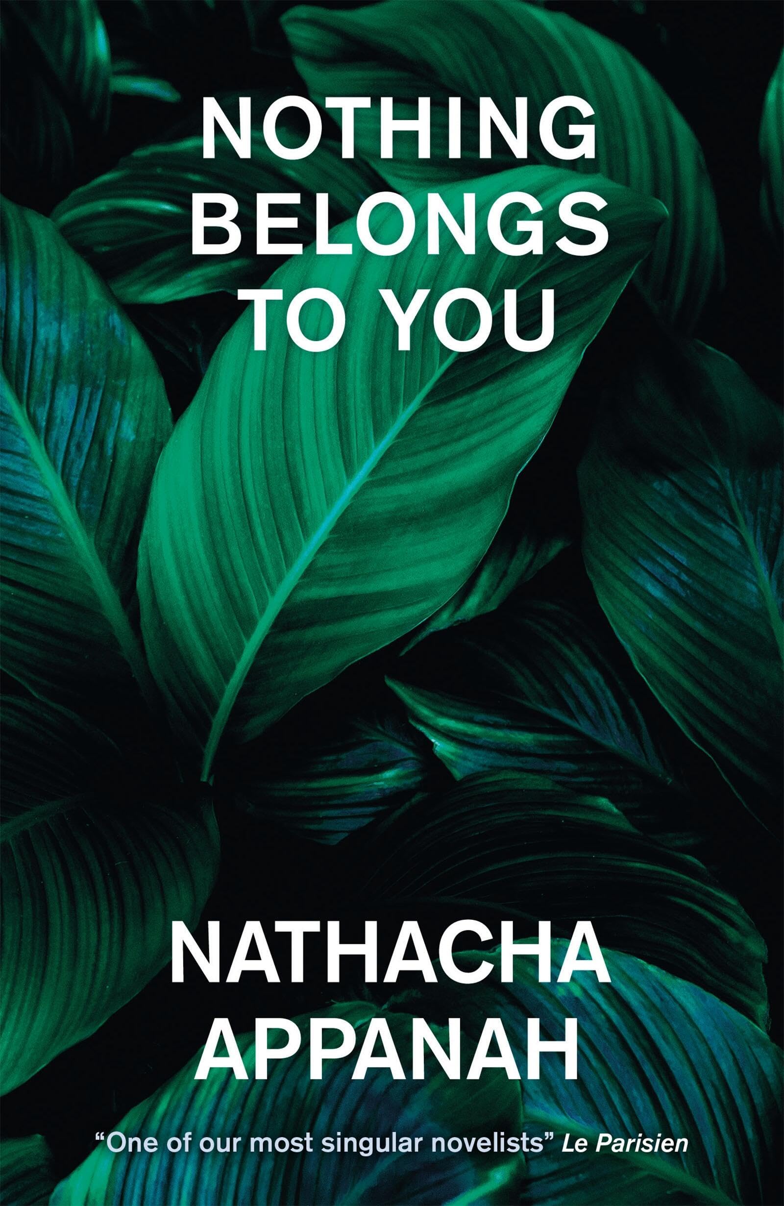 Nothing Belongs To You