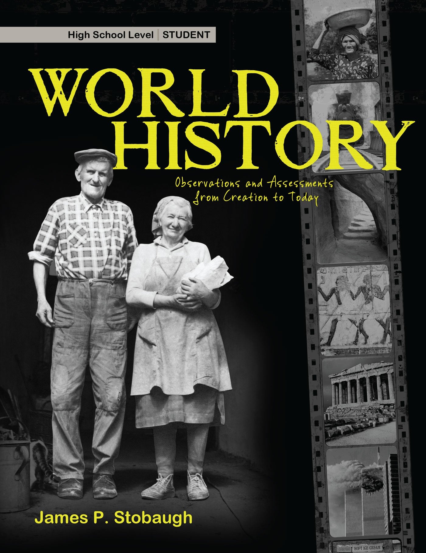 World History: Observations and Assessments from Creation to Today: High School Level,Used