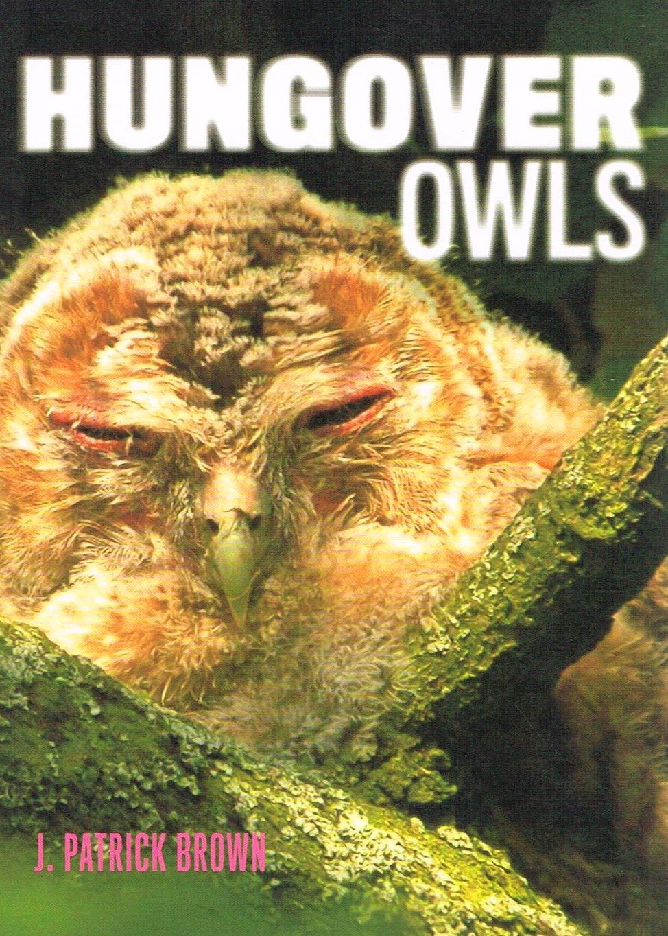 Hungover Owls