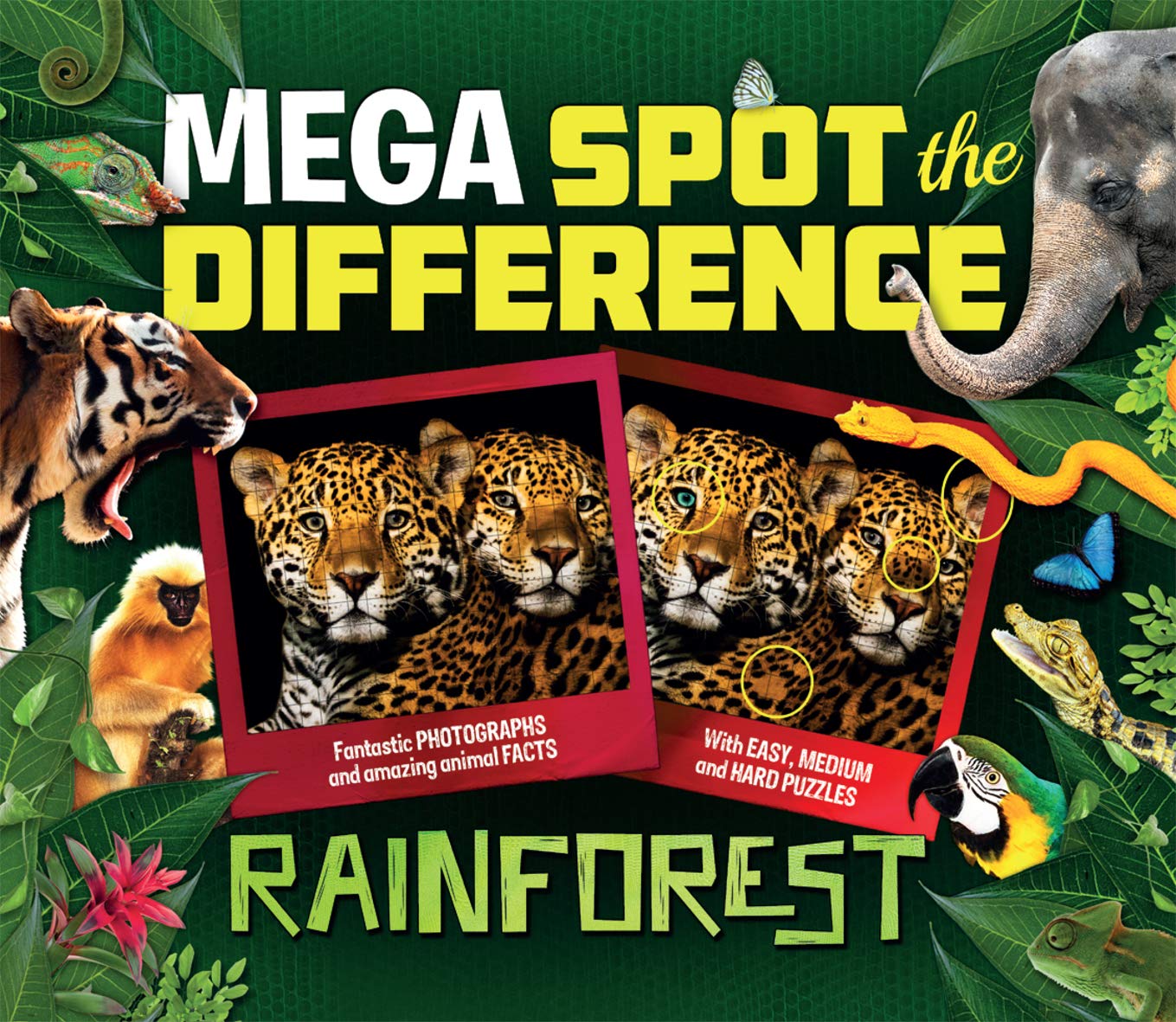 Mega Spot the Difference: Rainforest (Y)