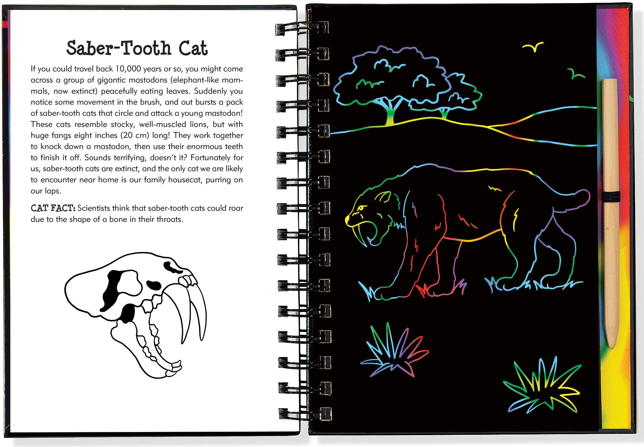 Scratch & Sketch Wild Cats (Trace Along),Used