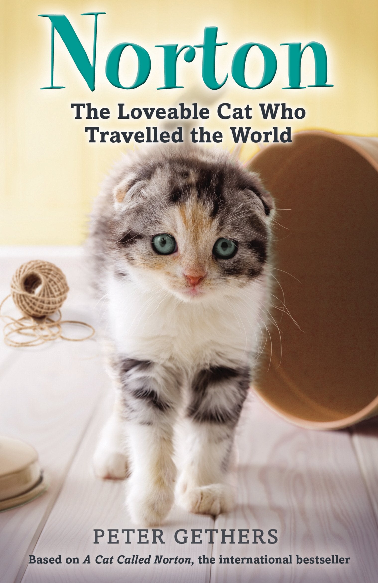 Norton, The Loveable Cat Who Travelled The World,Used