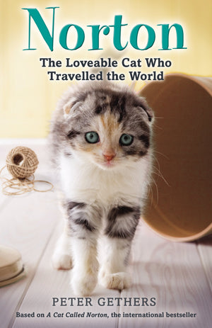 Norton, The Loveable Cat Who Travelled The World,Used