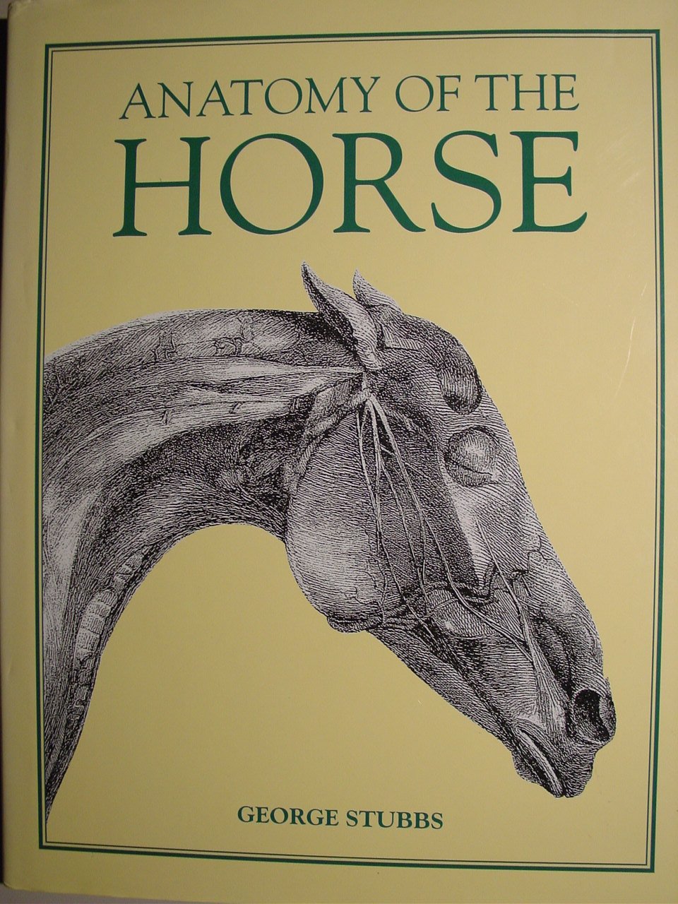 Anatomy of the Horse,Used