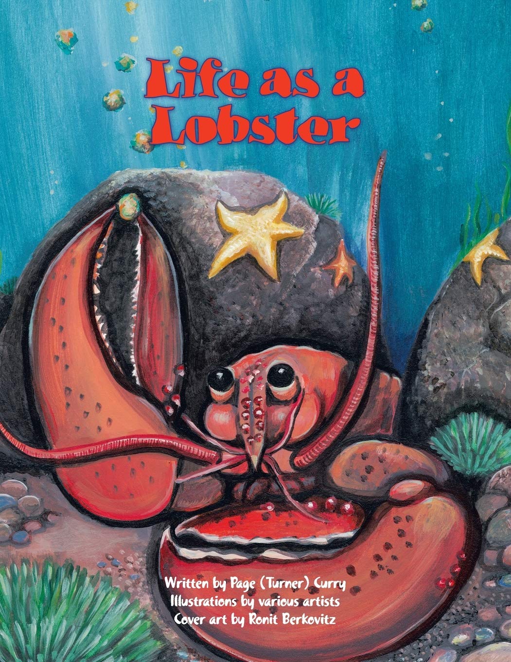 Life As A Lobster,Used