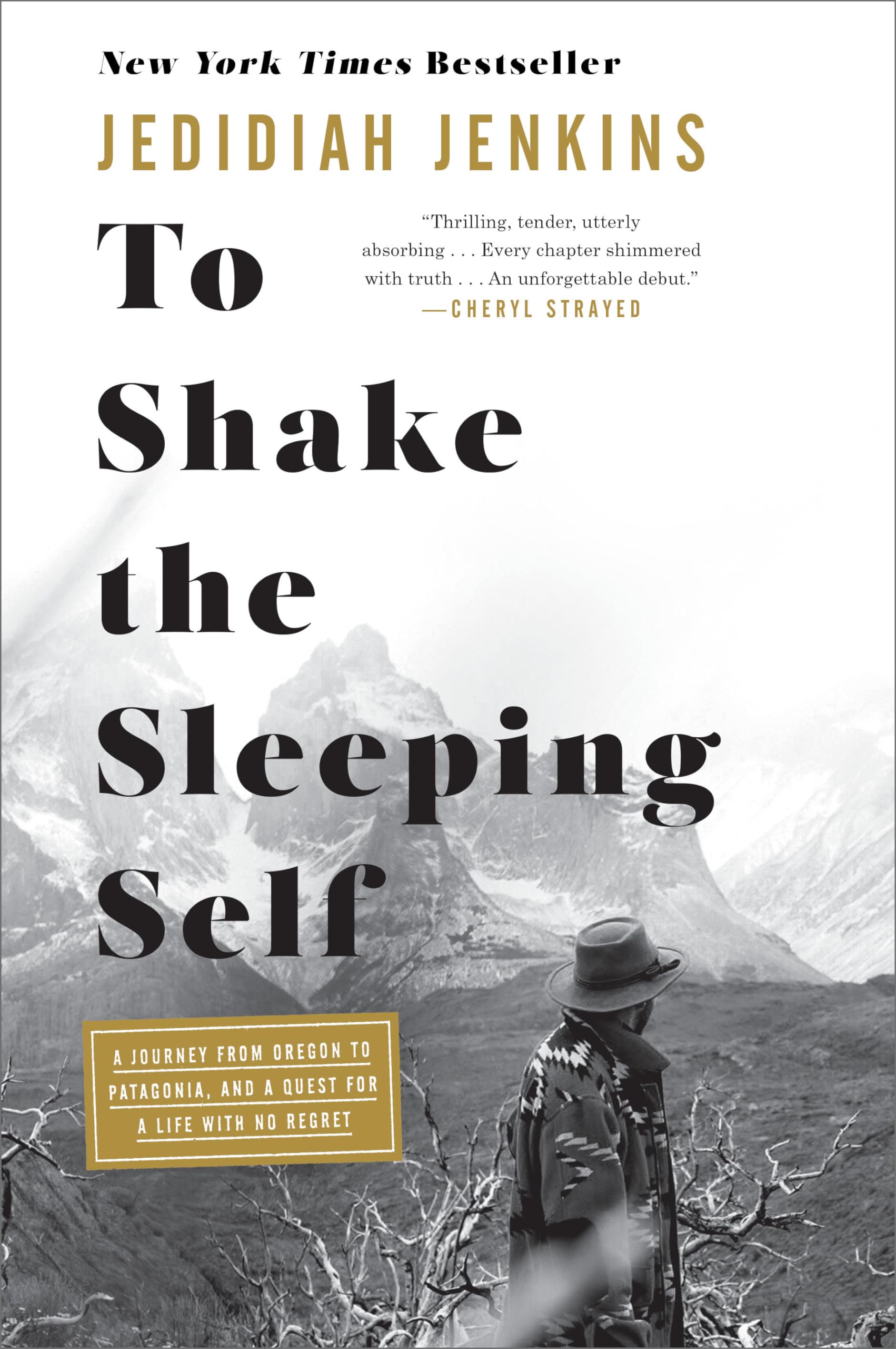 To Shake the Sleeping Self: A Journey from Oregon to Patagonia, and a Quest for a Life with No Regret,New