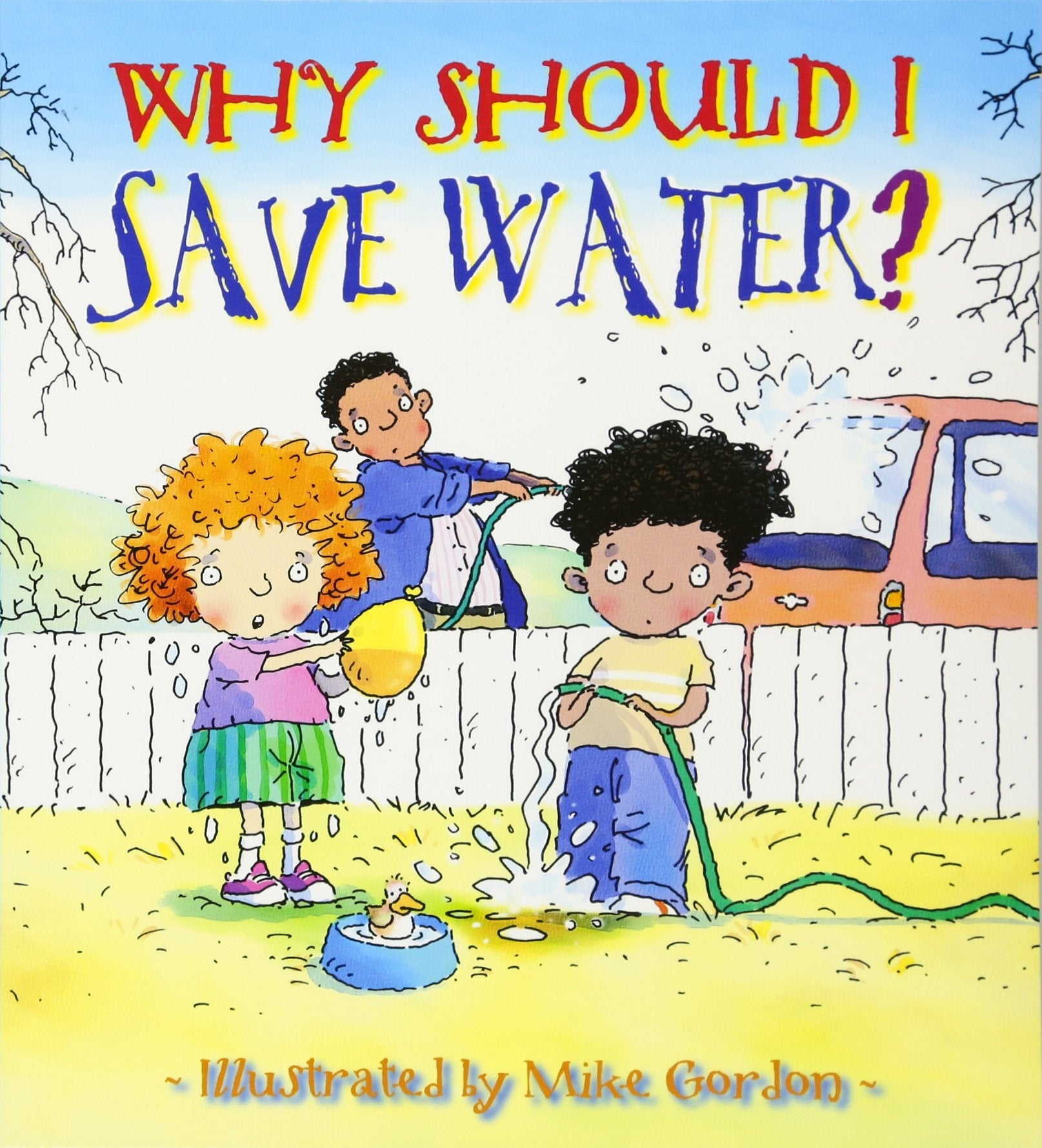 Why Should I Save Water? (Why Should I? Books)-used