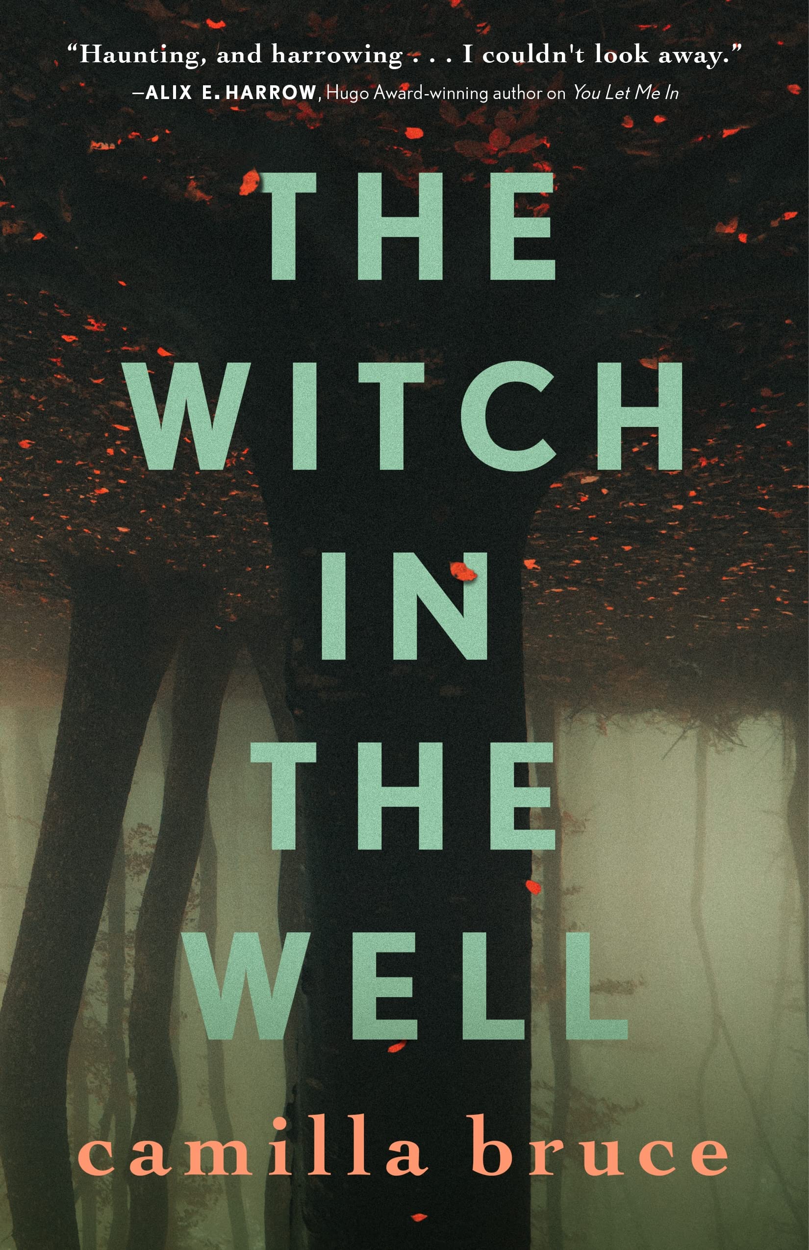 The Witch In The Well,Used