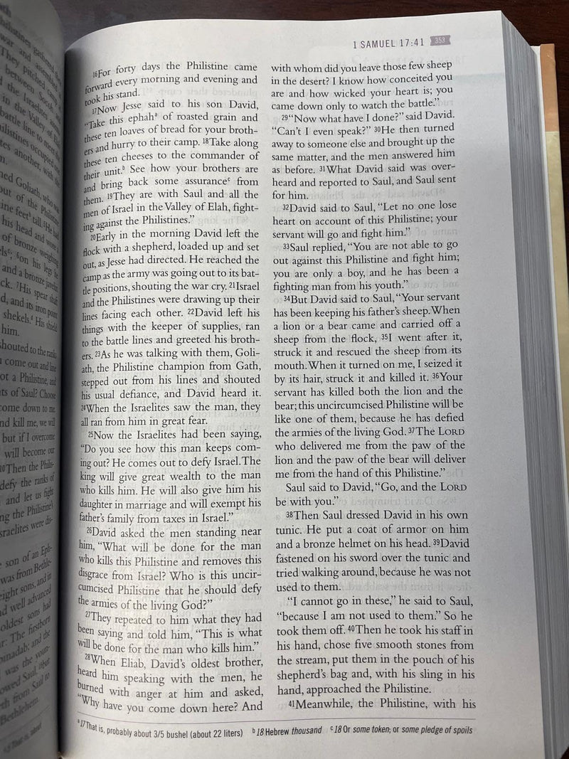 The Power of a Praying? Woman Bible: Prayer and Study Helps by Stormie Omartian,New