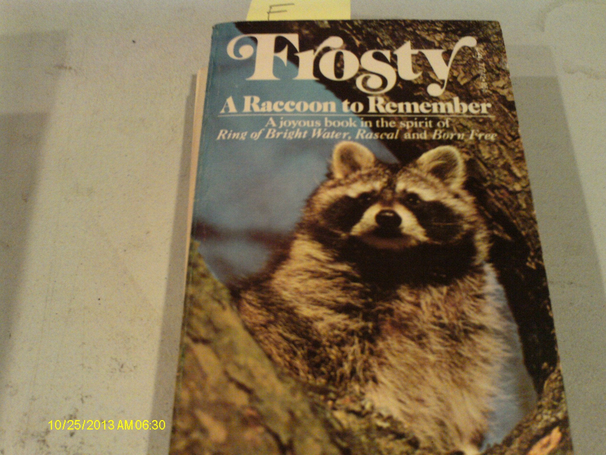 Frosty: A Raccoon To Remember