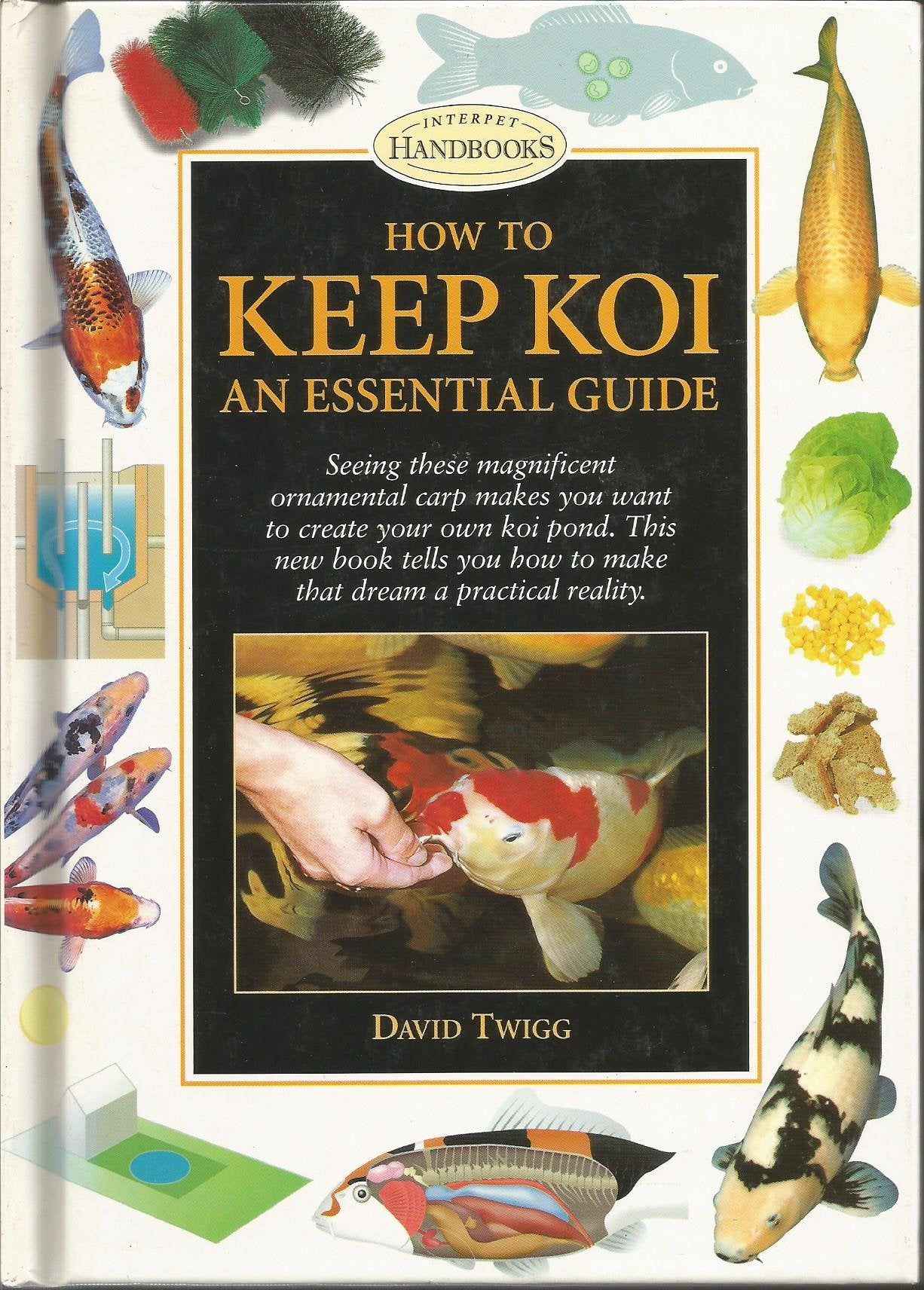 How To Keep Koi: An Essential Guide-new,New