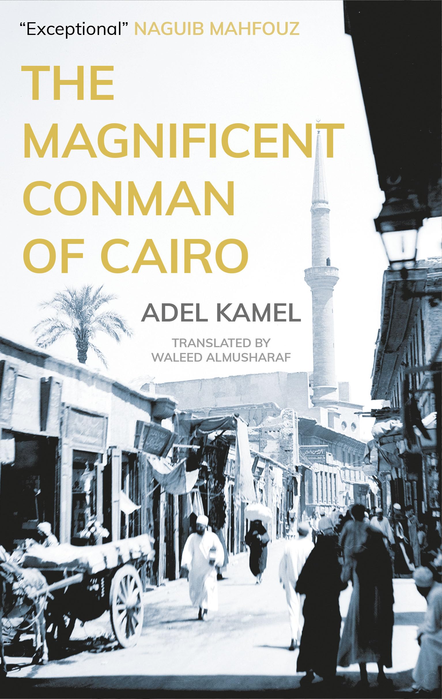 The Magnificent Conman of Cairo: A Novel (Hoopoe Fiction),Used