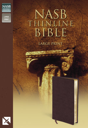 NASB Thinline Bible, Large Print,Used