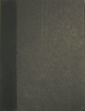 The New Art Of Color (The Documents Of 20Thcentury Art),New