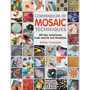 Compendium of Mosaic Techniques: Over 300 Tips, Techniques and Trade Secrets by Bonnie Fitzgerald (20120802),Used