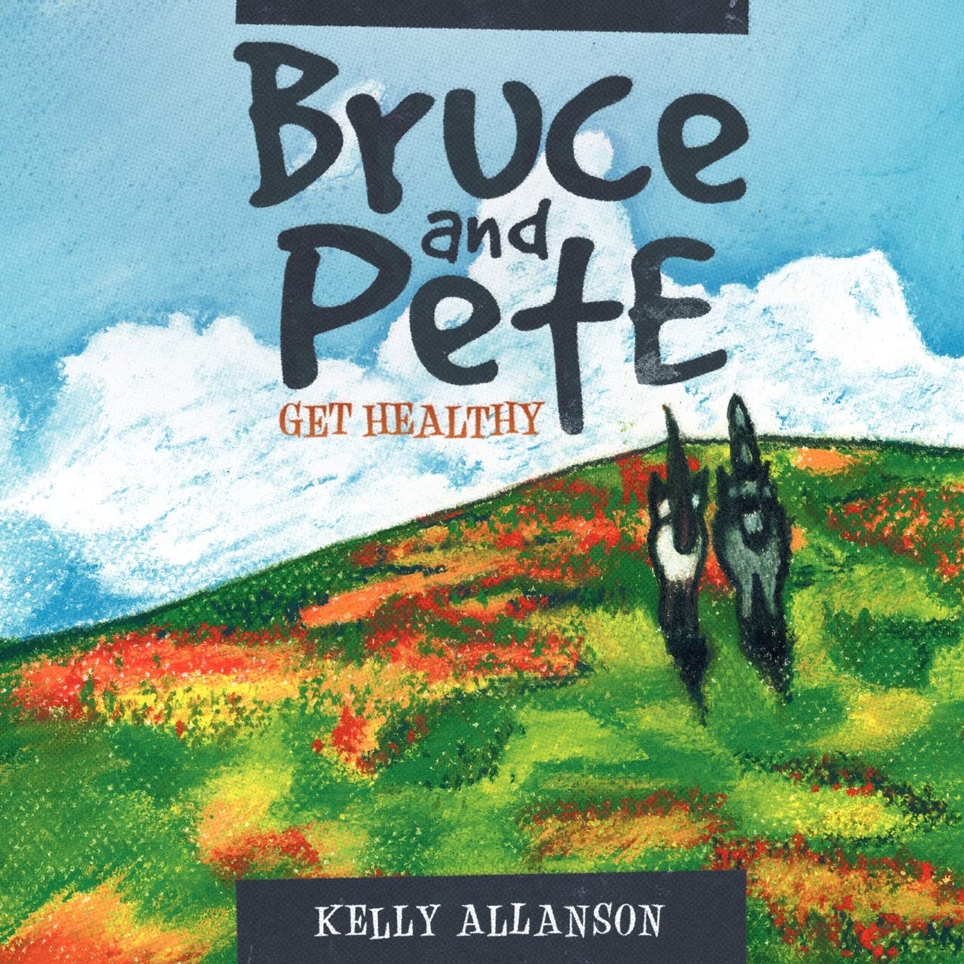 Bruce And Pete Get Healthy,Used