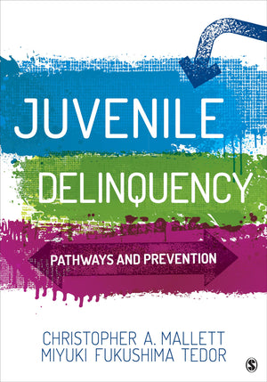 Juvenile Delinquency: Pathways and Prevention,Used