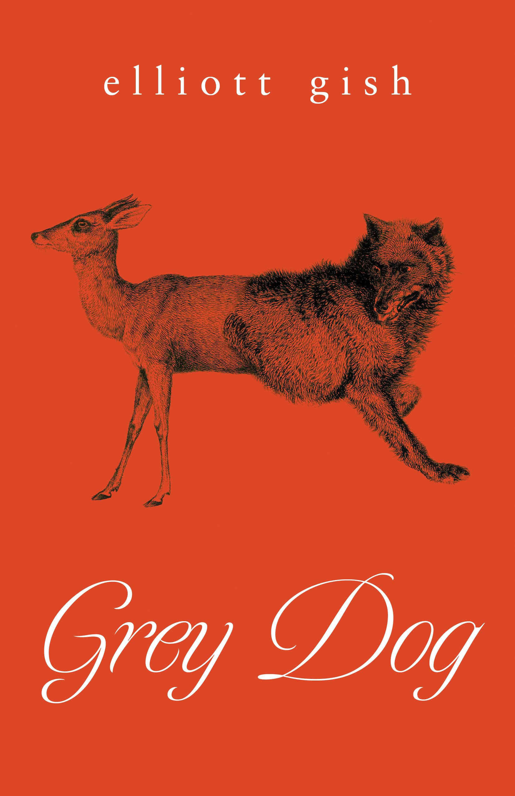 Grey Dog,New