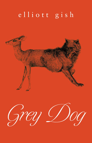 Grey Dog,New