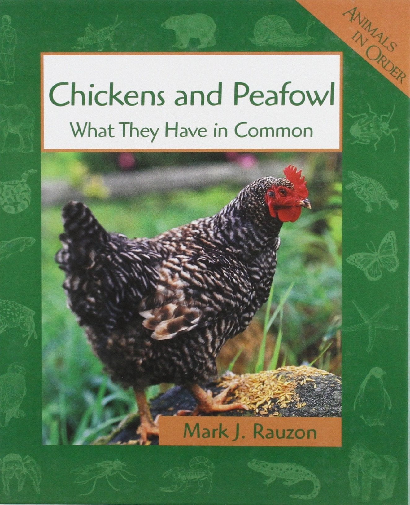 Chickens and Peafowl: What They Have in Common (Animals in Order),Used