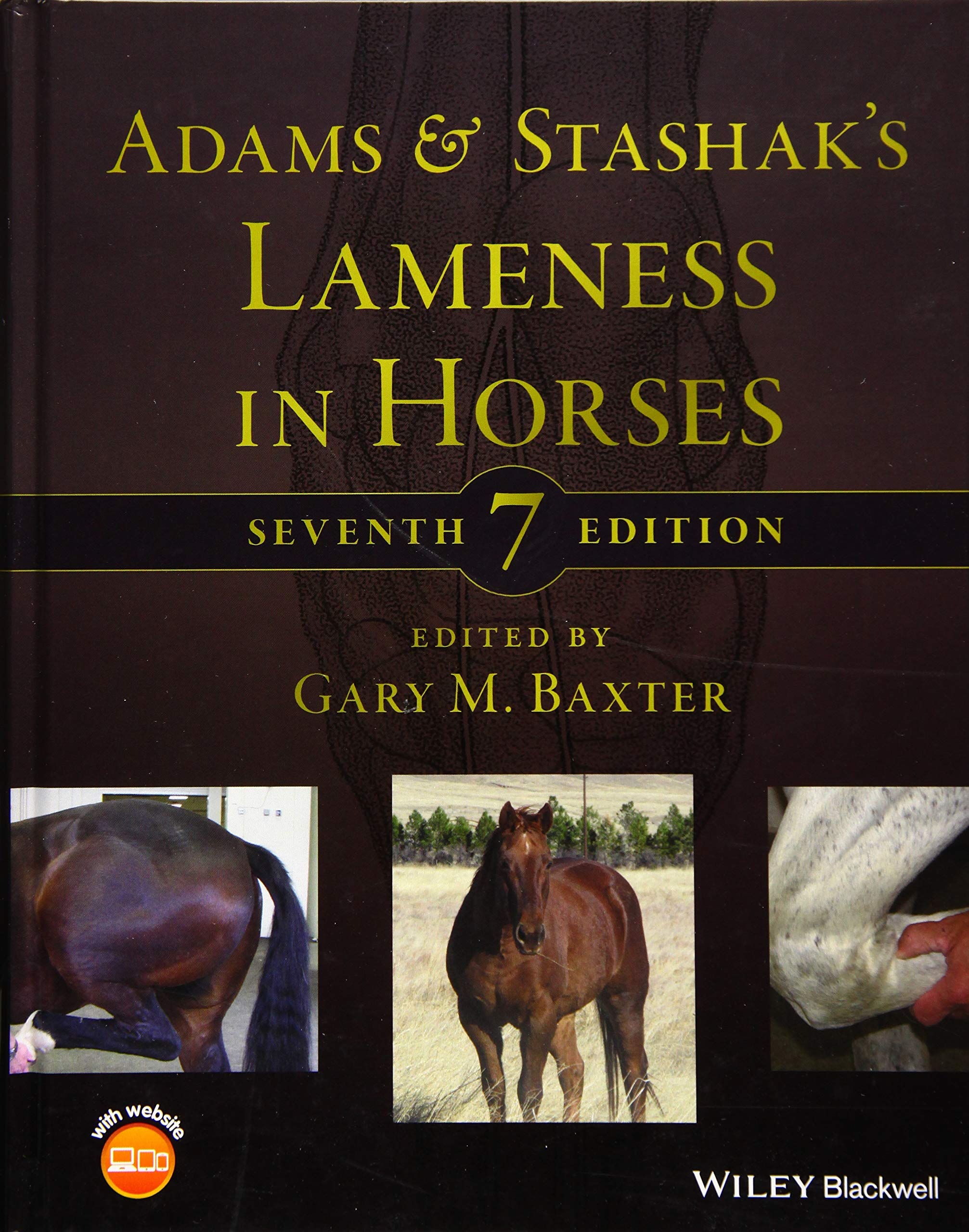 Adams and Stashak s Lameness in Horses
