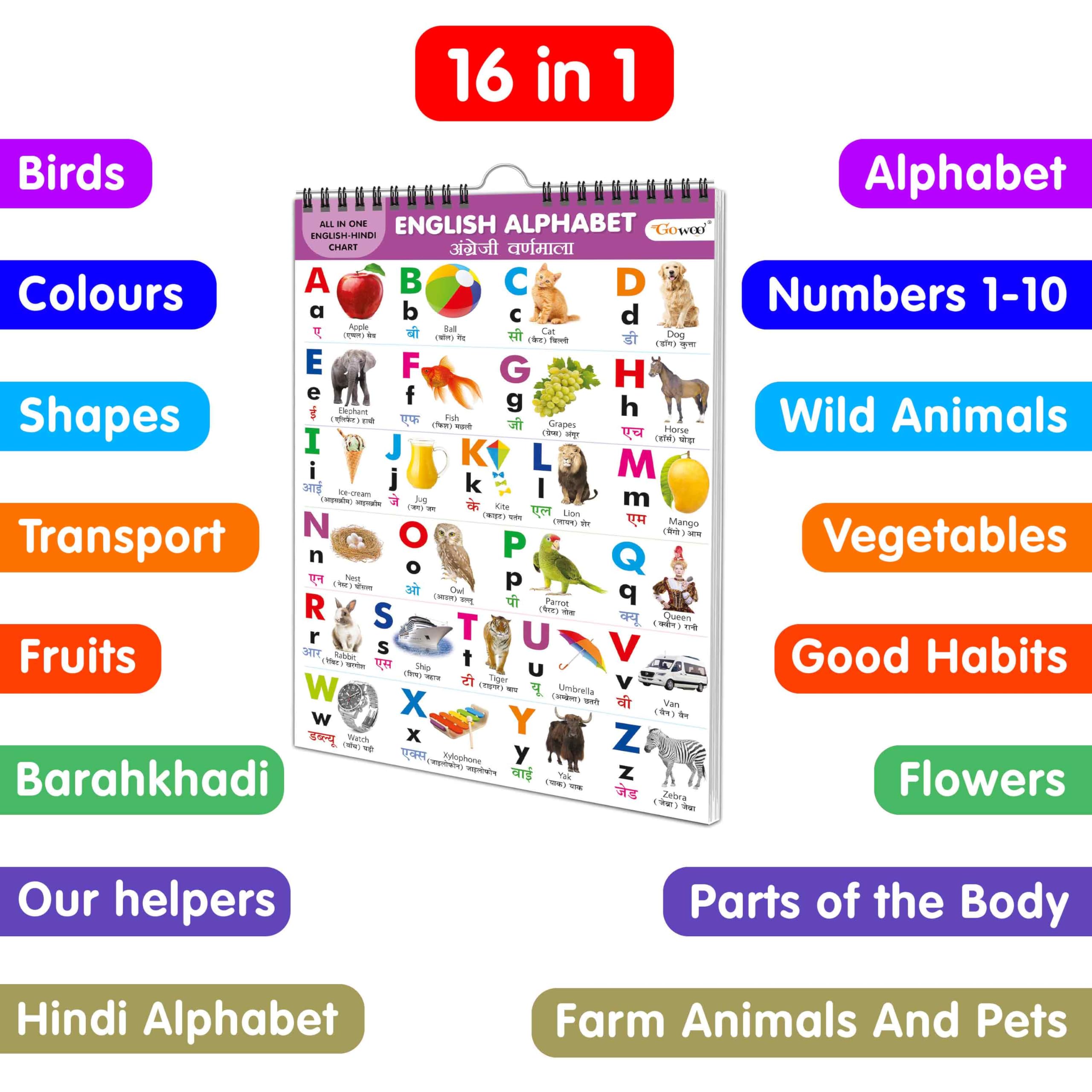 My First All In One Spiral Chart English-Hindi : Collection Of Early Learning Chart, Preschool Kids Chart, 16 Topics Learning Chart For Kids