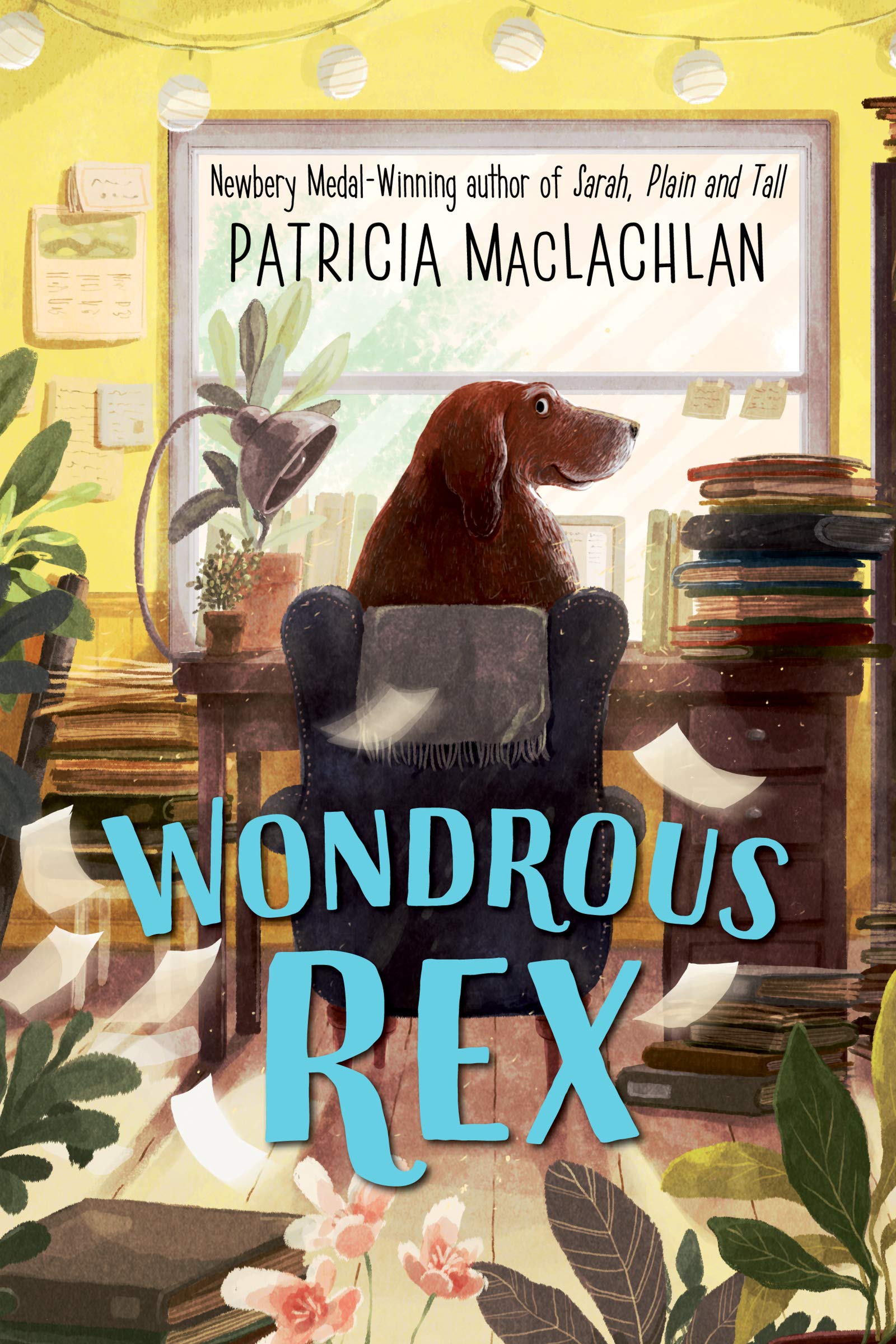 Wondrous Rex,Used