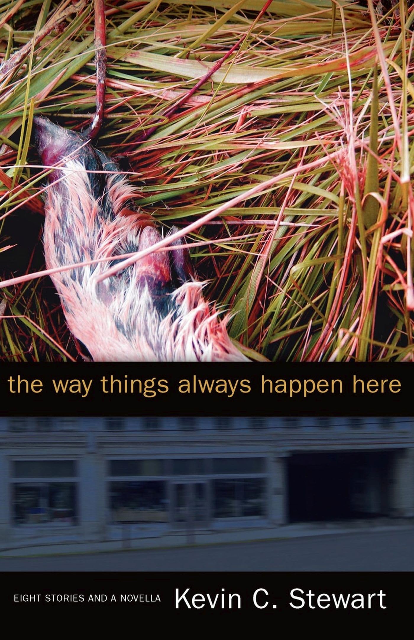 The Way Things Always Happen Here,New