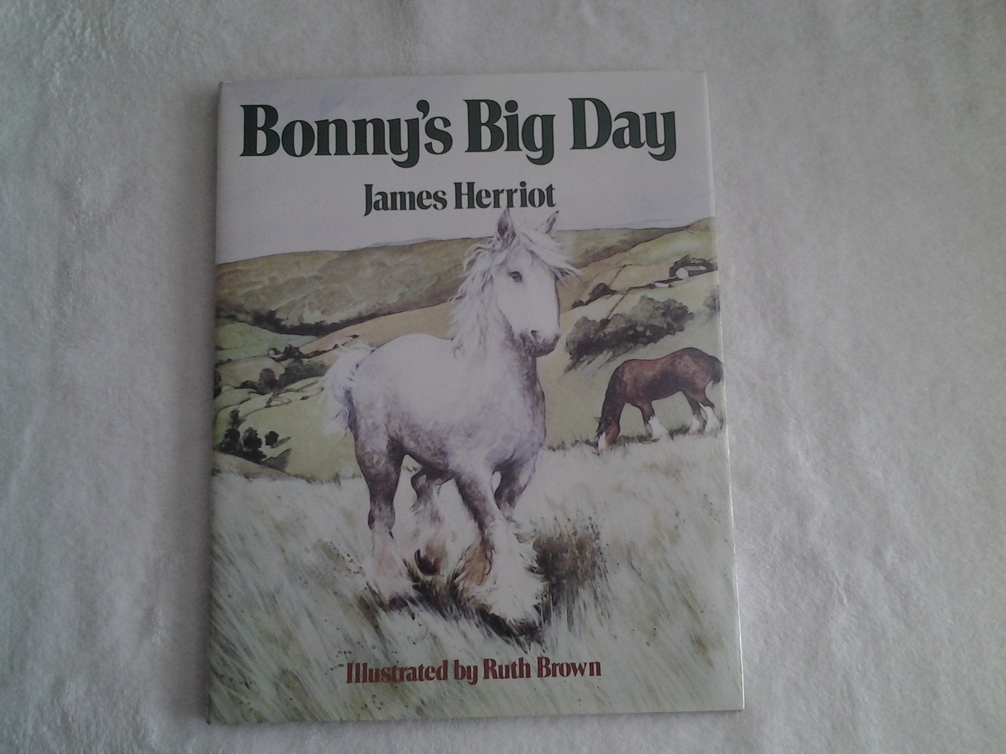 Bonny's Big Day,Used
